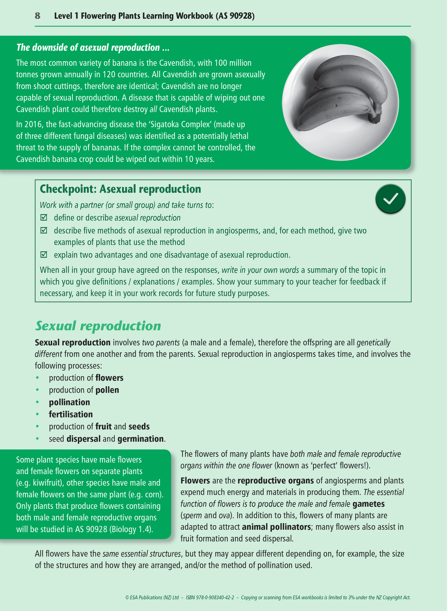 Level 1 Flowering Plants 1.4 Learning Workbook