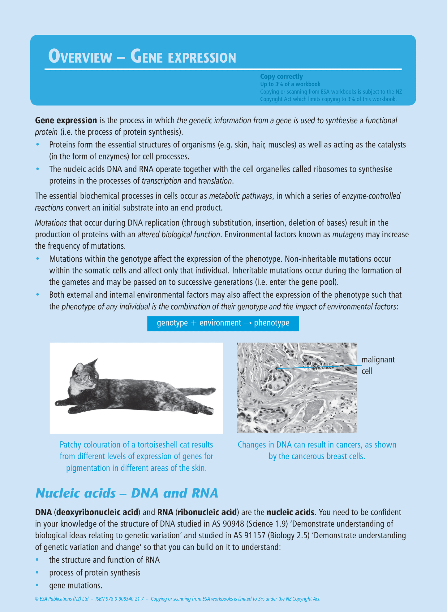 Level 2 Gene Expression 2.7 Learning Workbook