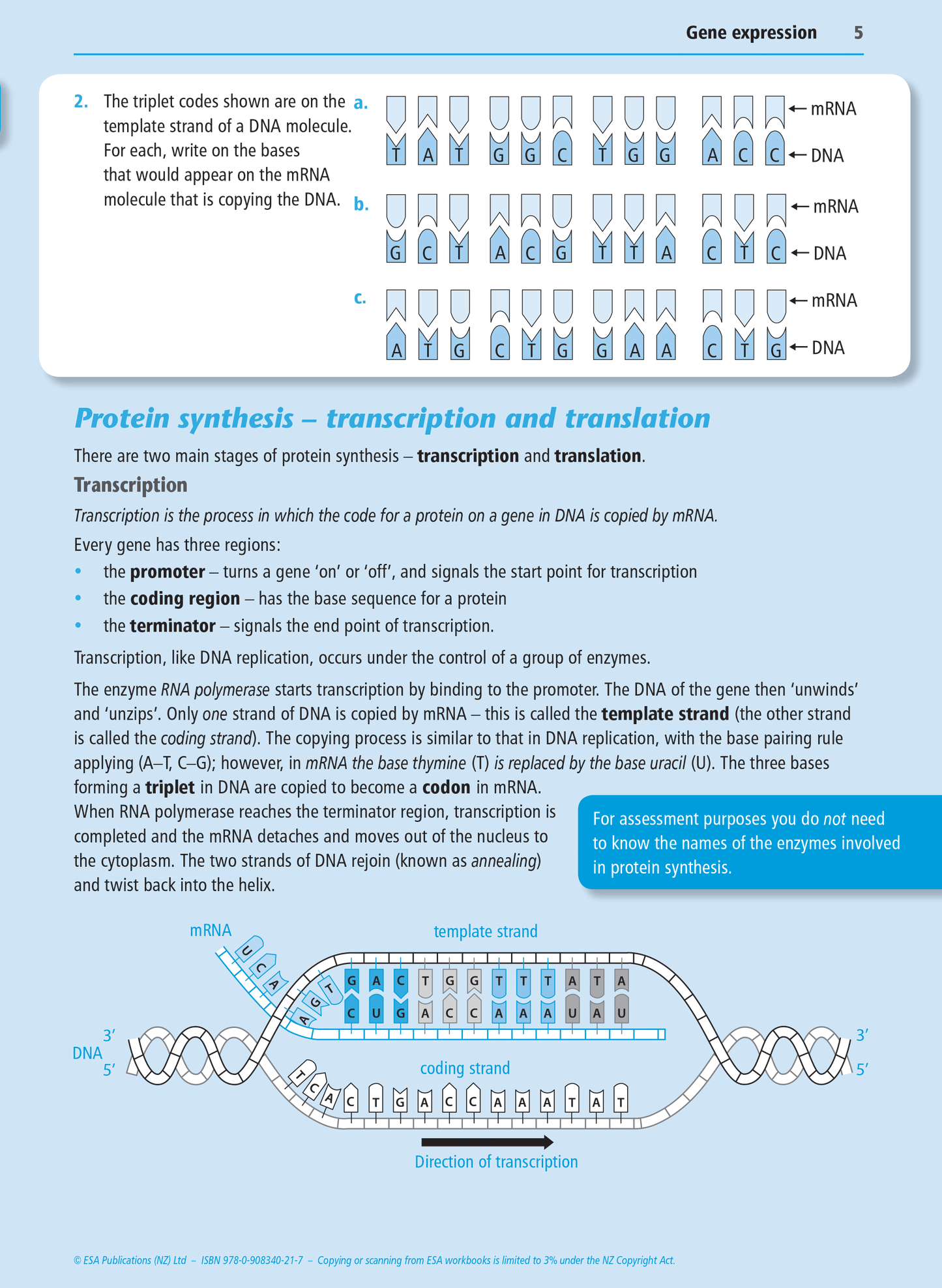 Level 2 Gene Expression 2.7 Learning Workbook