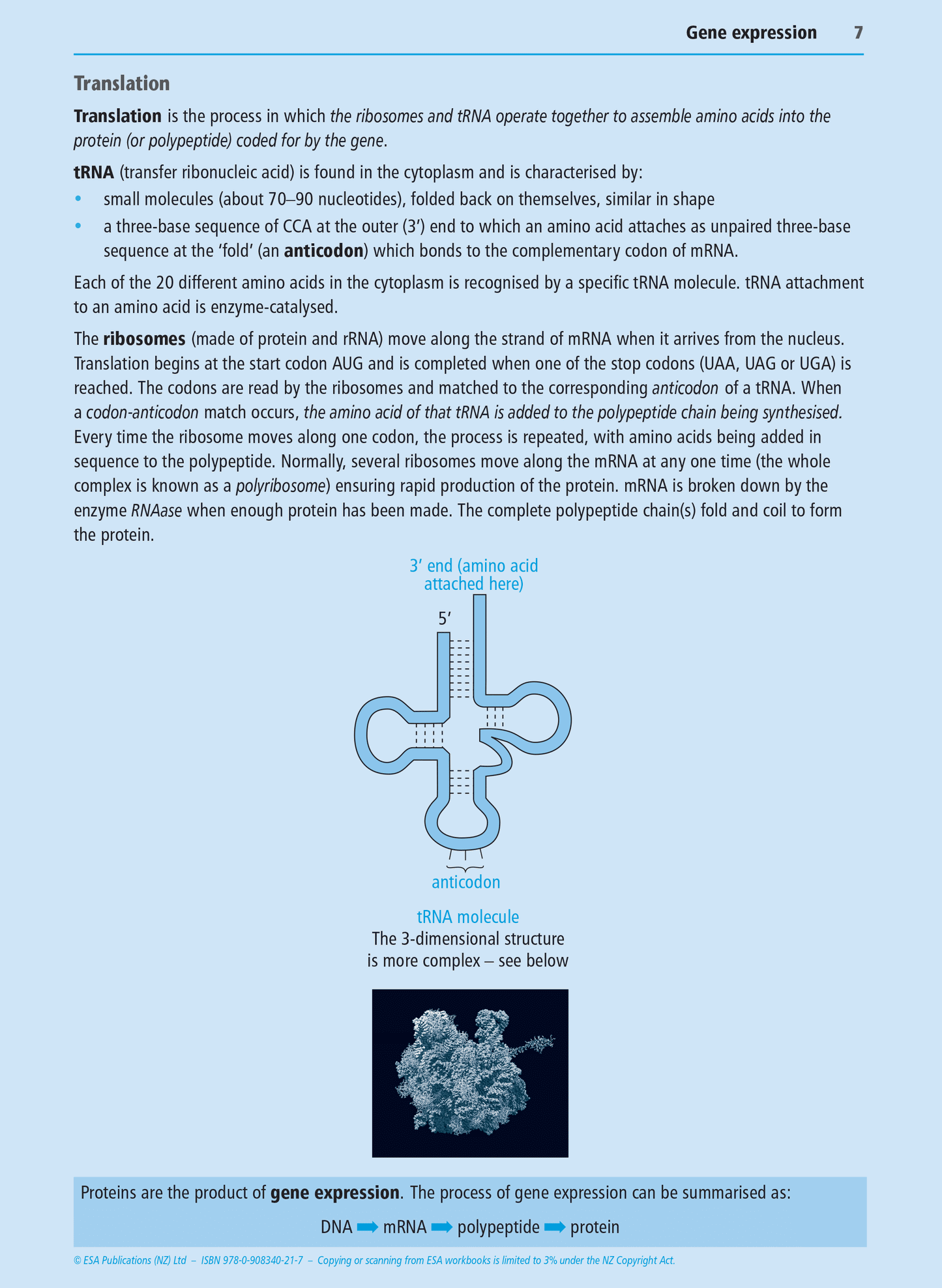 Level 2 Gene Expression 2.7 Learning Workbook
