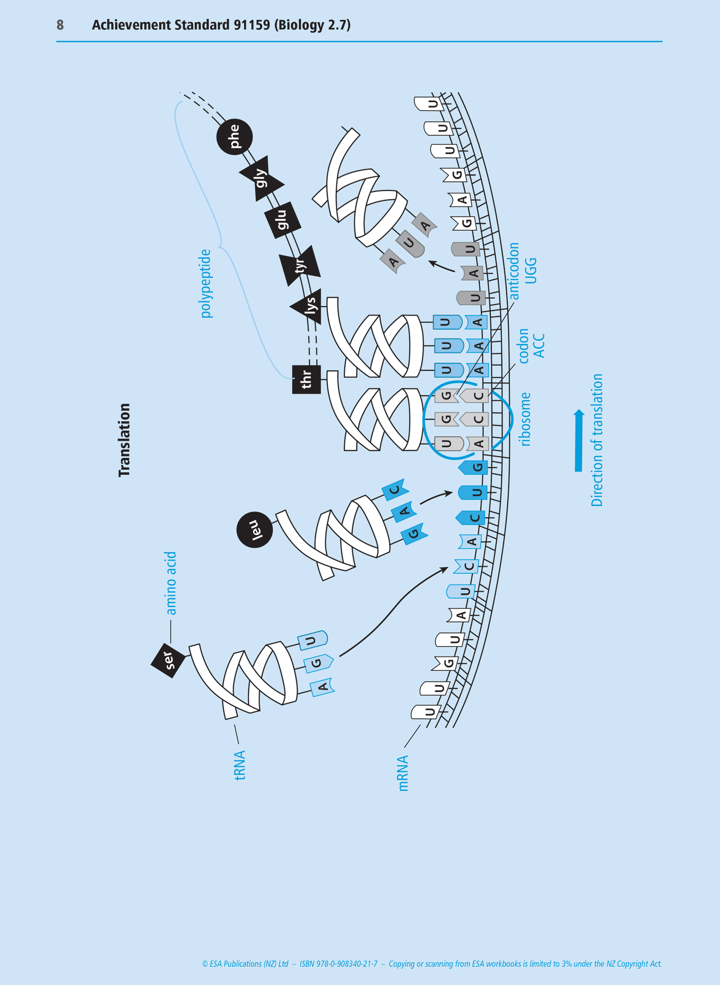 Level 2 Gene Expression 2.7 Learning Workbook