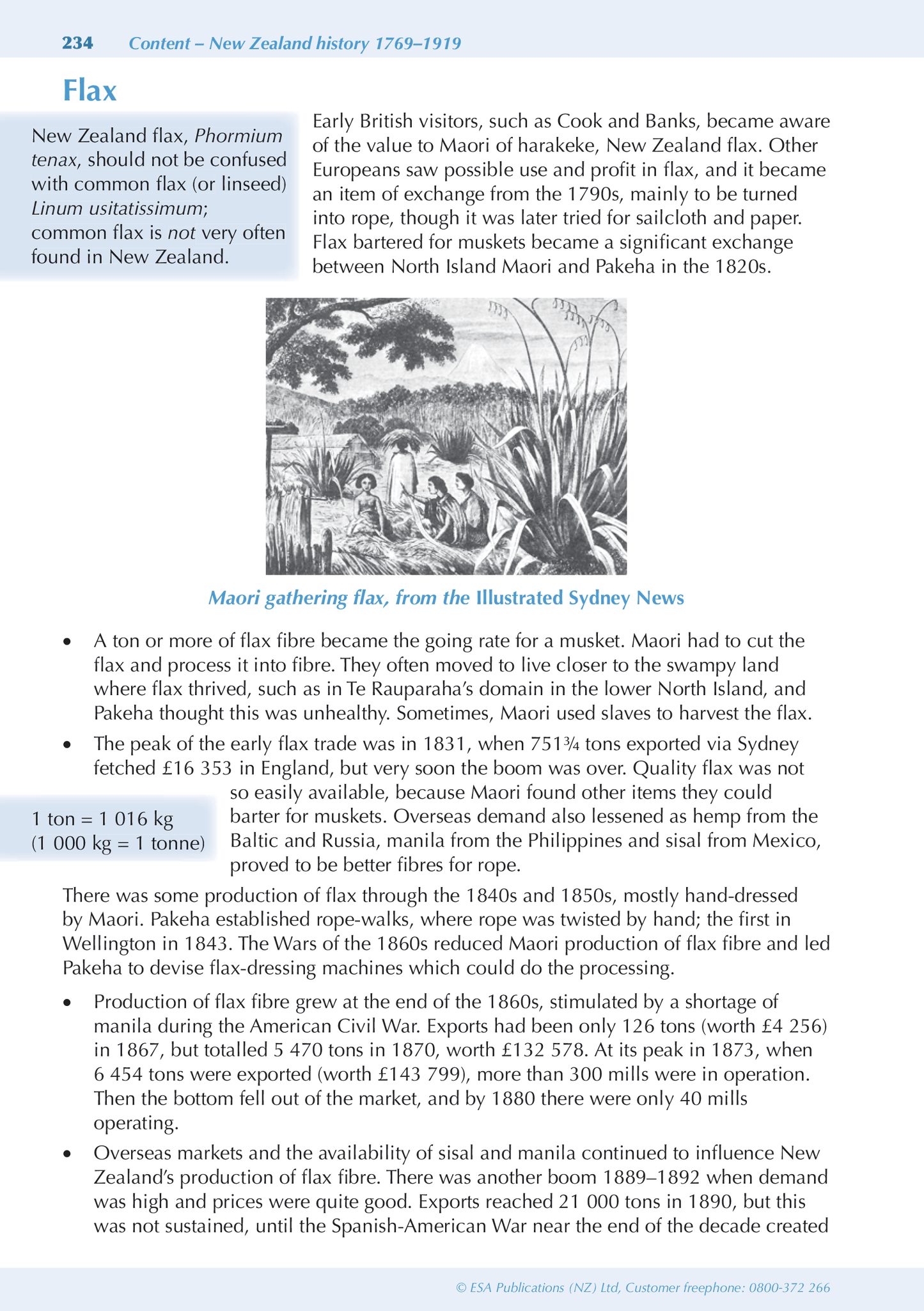 Level 3 History New Zealand ESA Study Guide