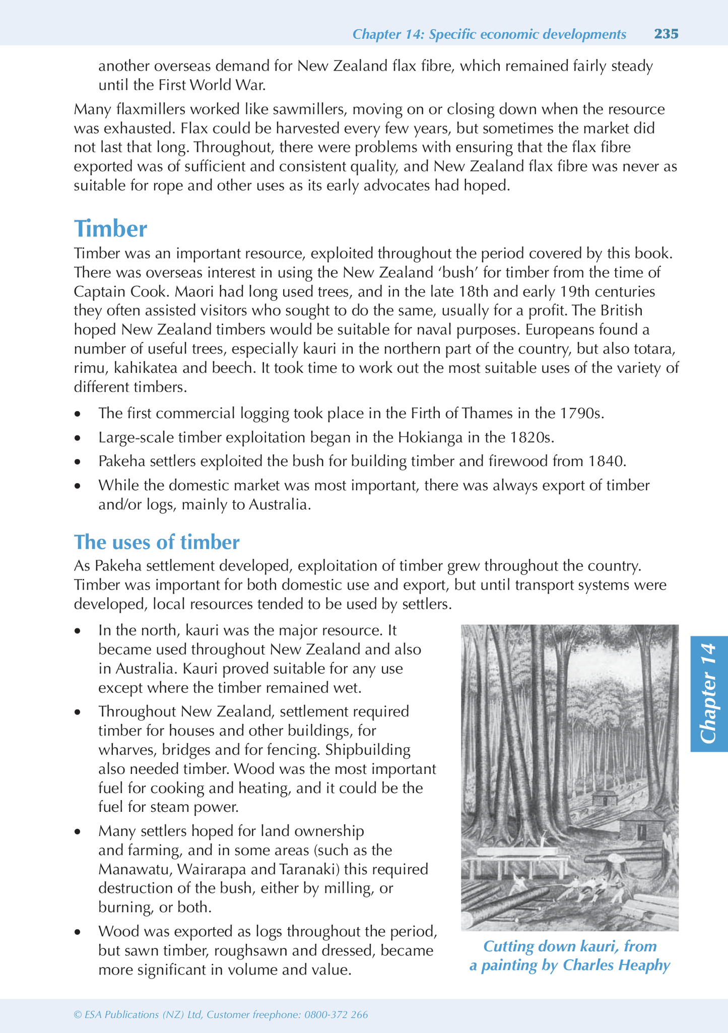 Level 3 History New Zealand ESA Study Guide