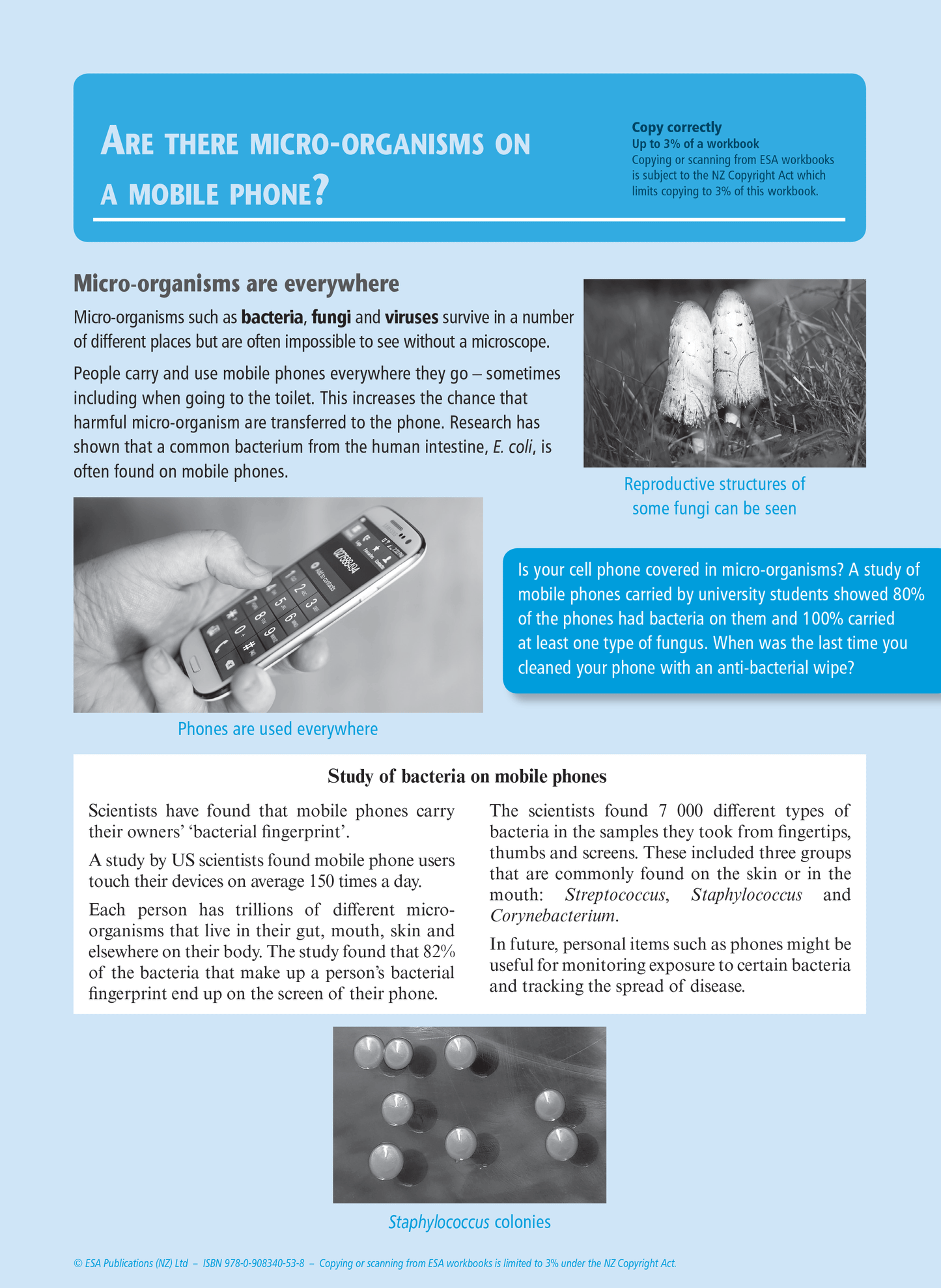 Level 1 Humans and Micro-organisms 1.11 Learning Workbook