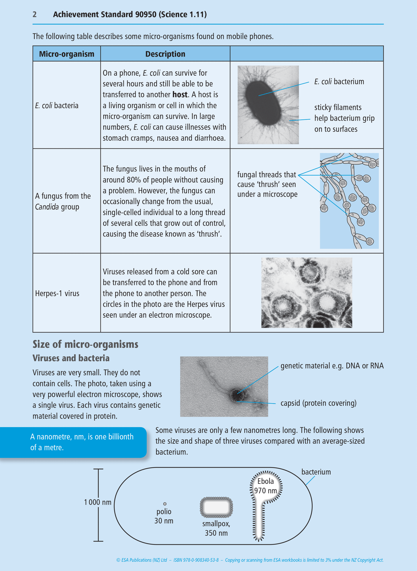 Level 1 Humans and Micro-organisms 1.11 Learning Workbook