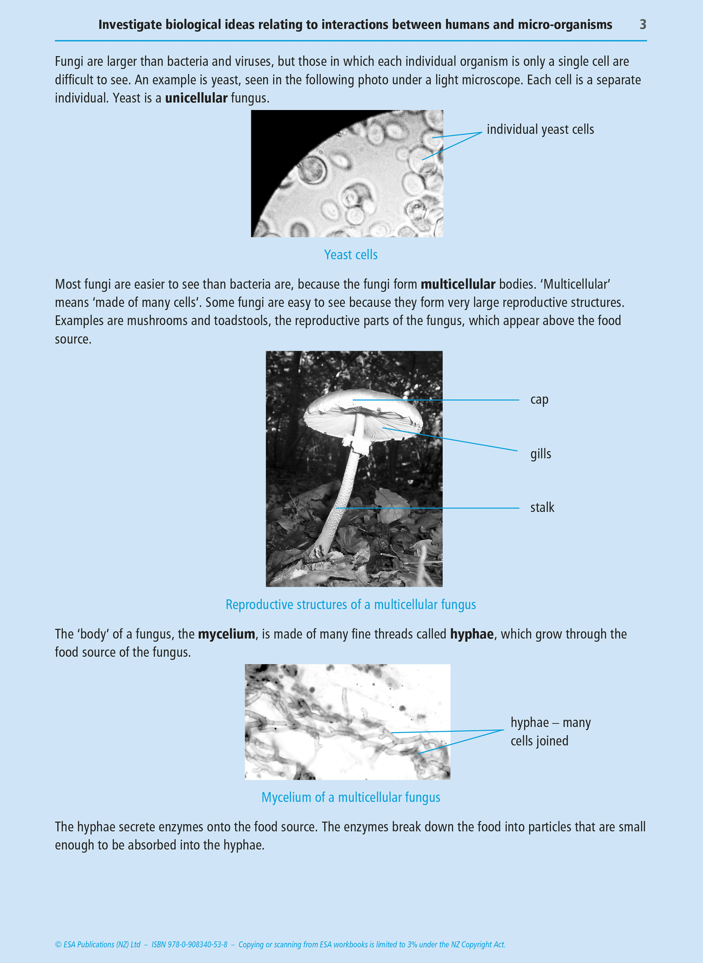 Level 1 Humans and Micro-organisms 1.11 Learning Workbook