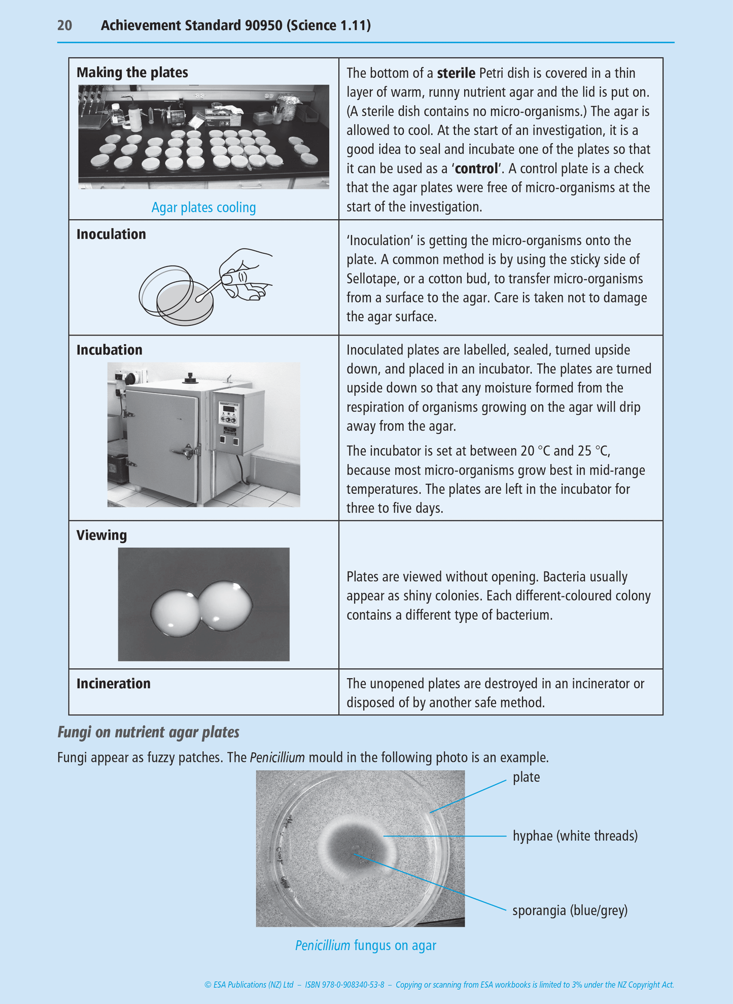 Level 1 Humans and Micro-organisms 1.11 Learning Workbook