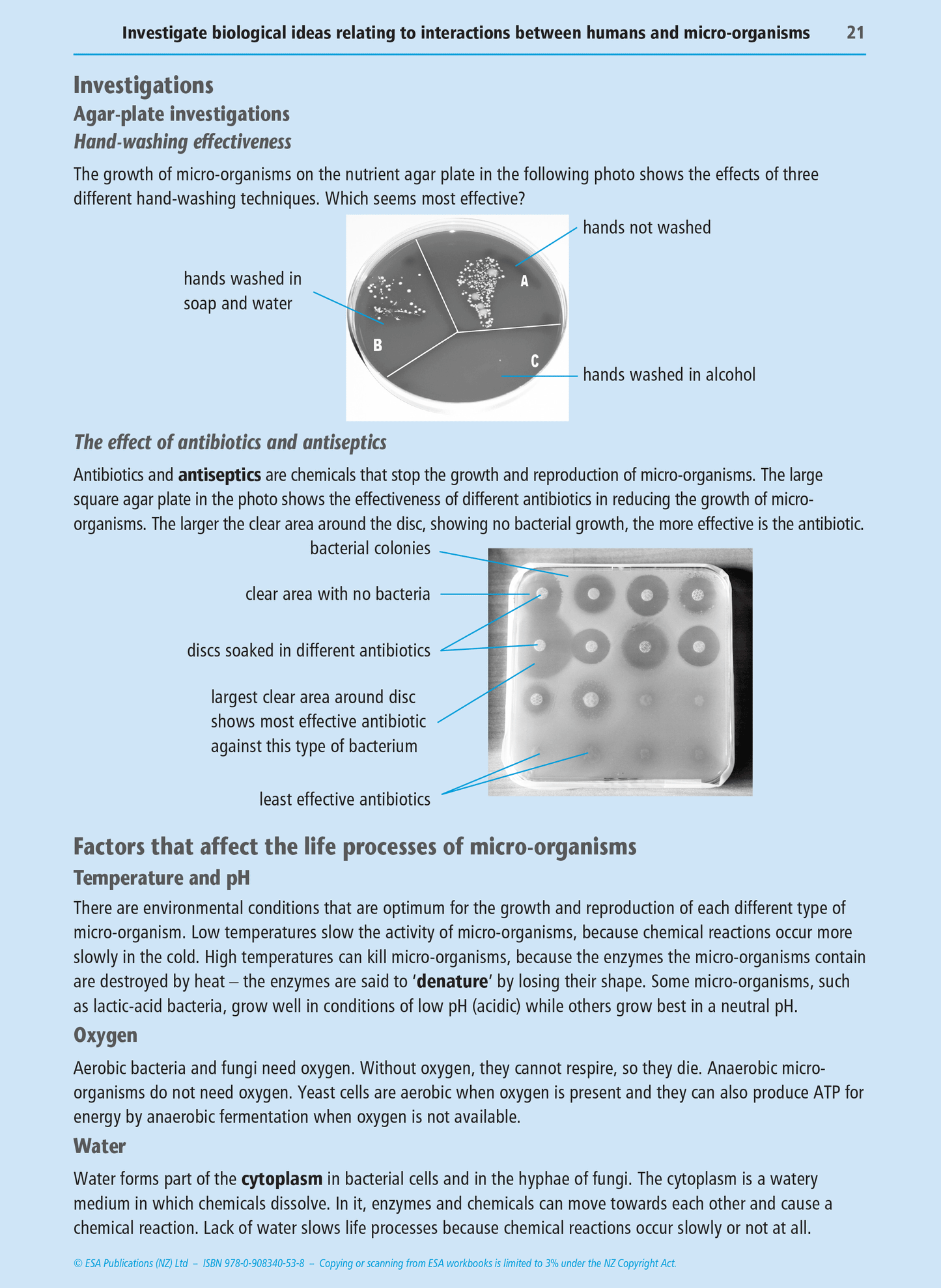 Level 1 Humans and Micro-organisms 1.11 Learning Workbook