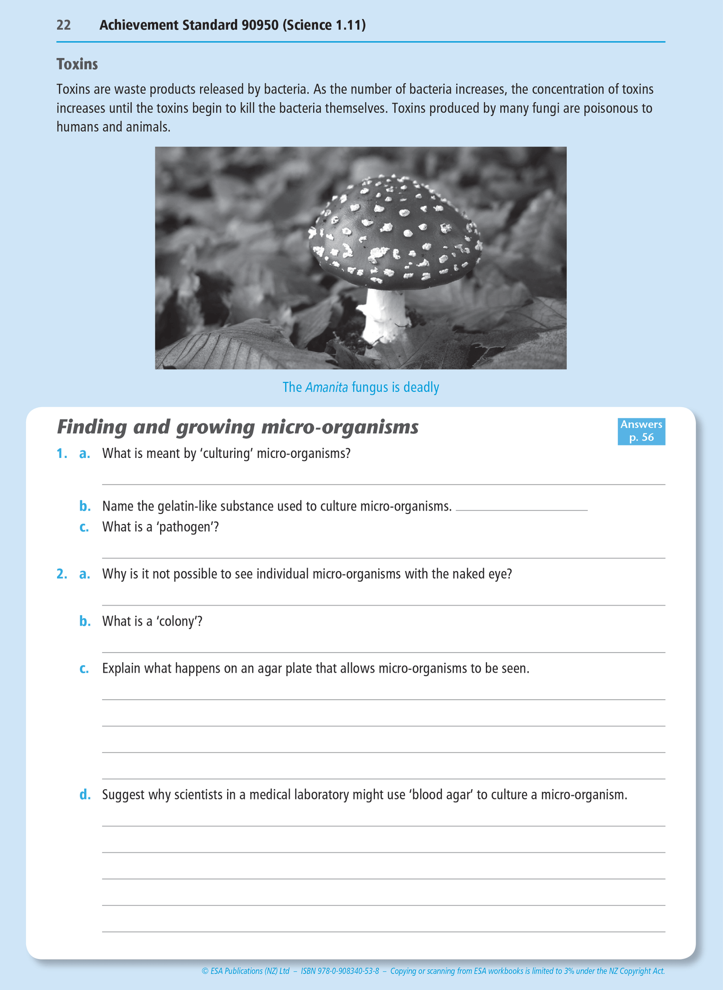 Level 1 Humans and Micro-organisms 1.11 Learning Workbook