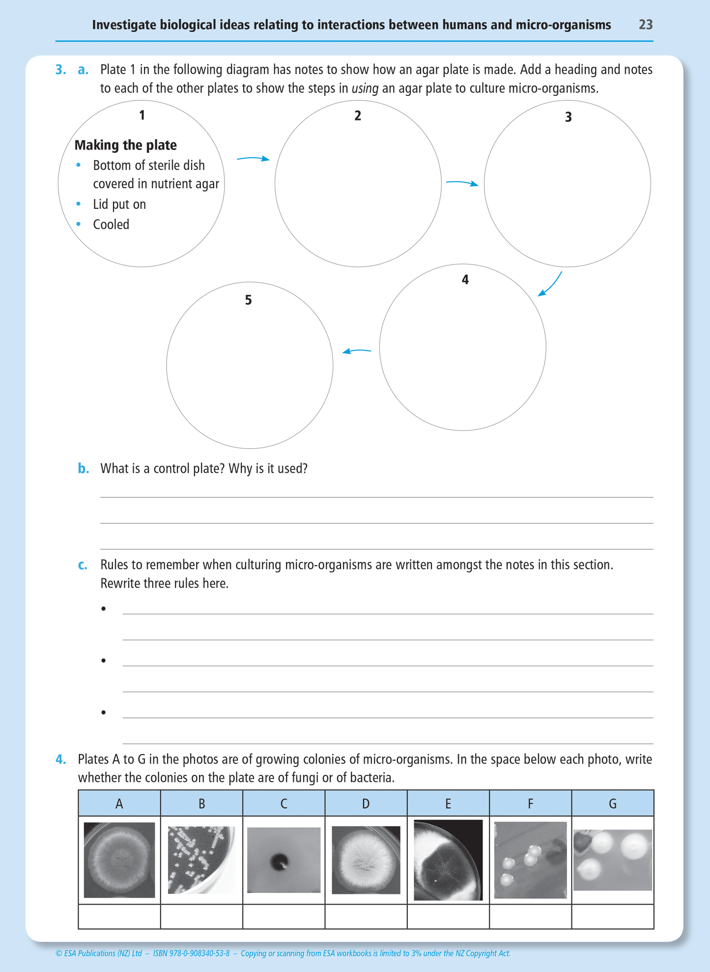 Level 1 Humans and Micro-organisms 1.11 Learning Workbook