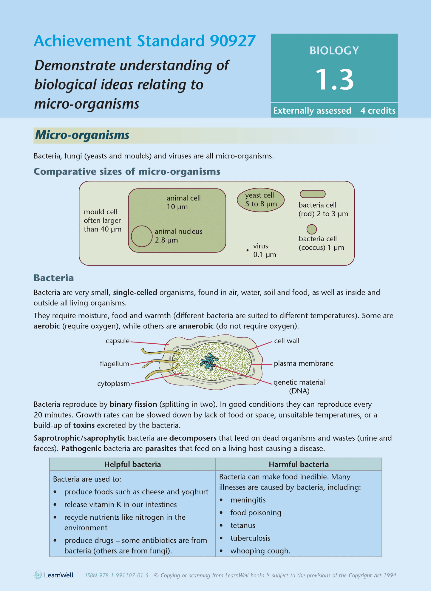 Level 1 Biology AME Workbook for NCEA 2023 edition