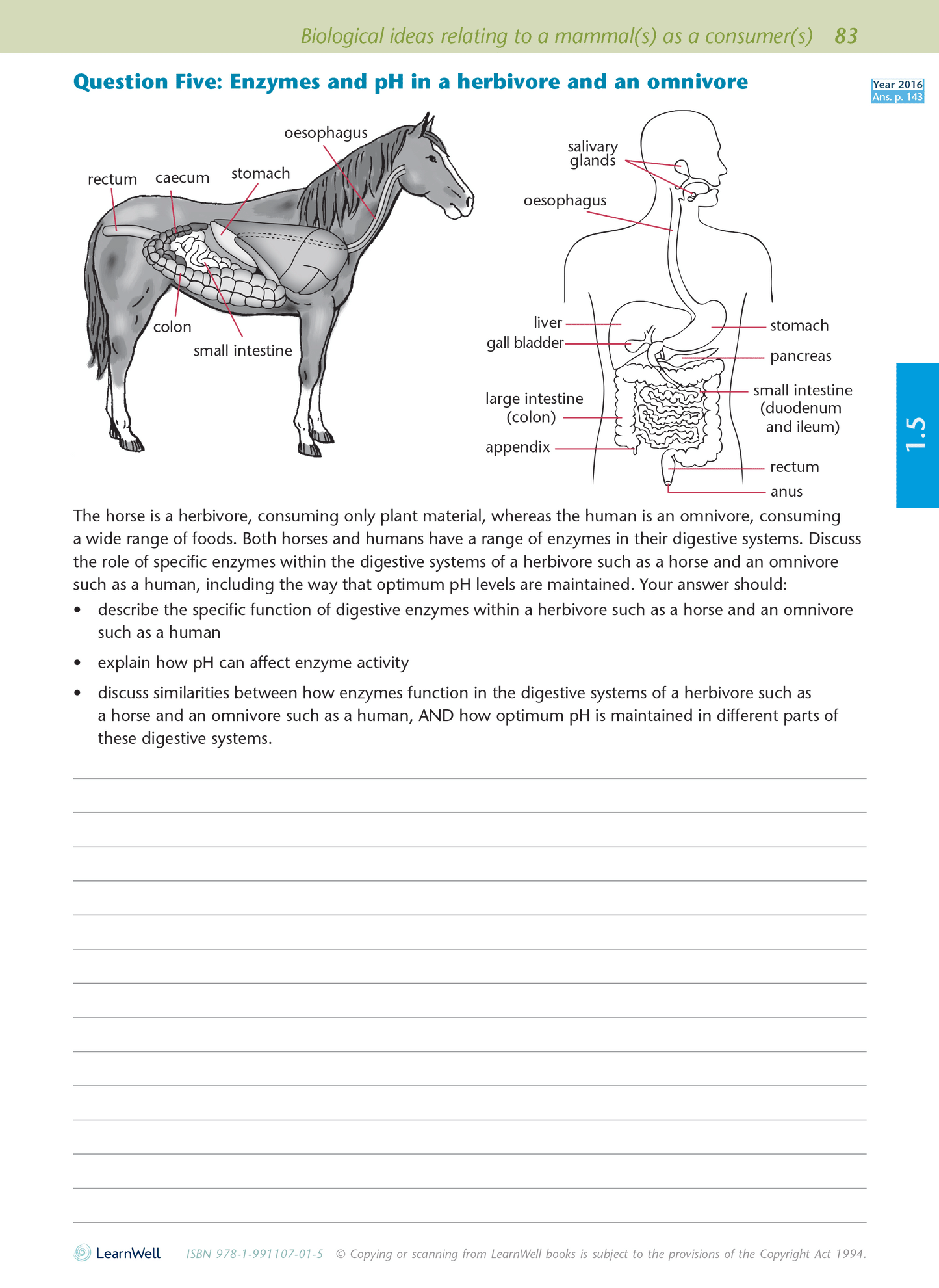 Level 1 Biology AME Workbook for NCEA 2023 edition