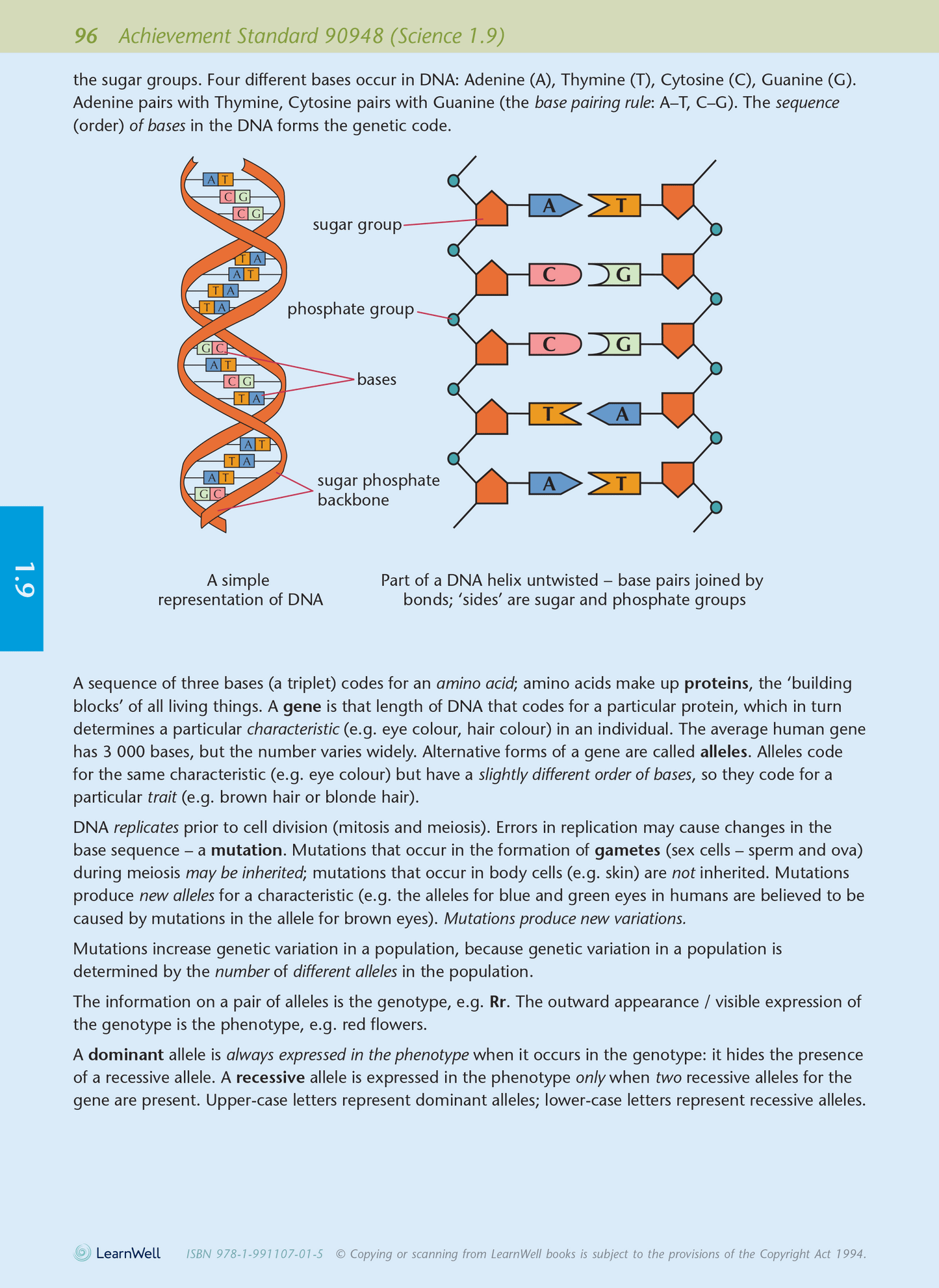 Level 1 Biology AME Workbook for NCEA 2023 edition