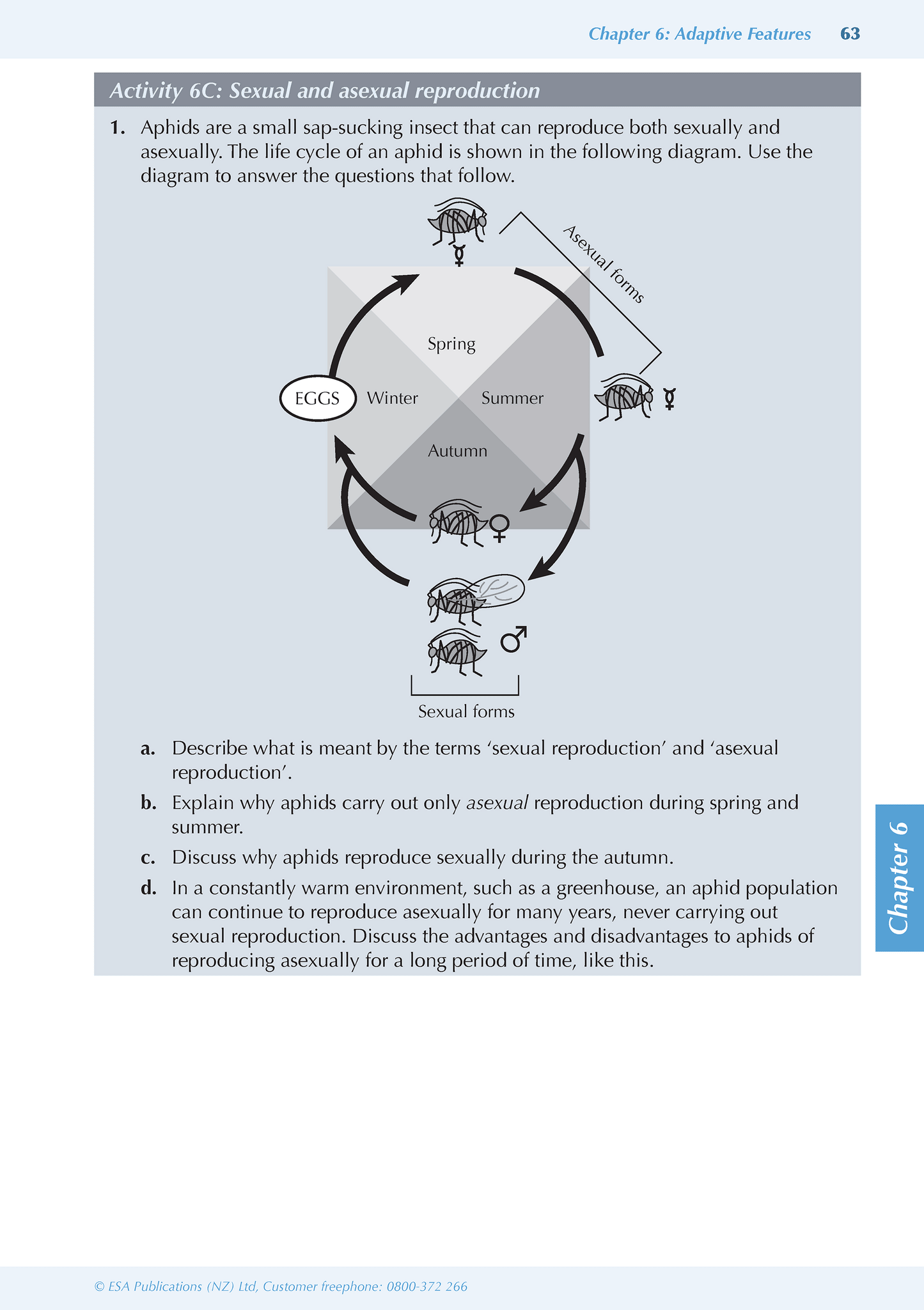 Level 1 Biology ESA Study Guide