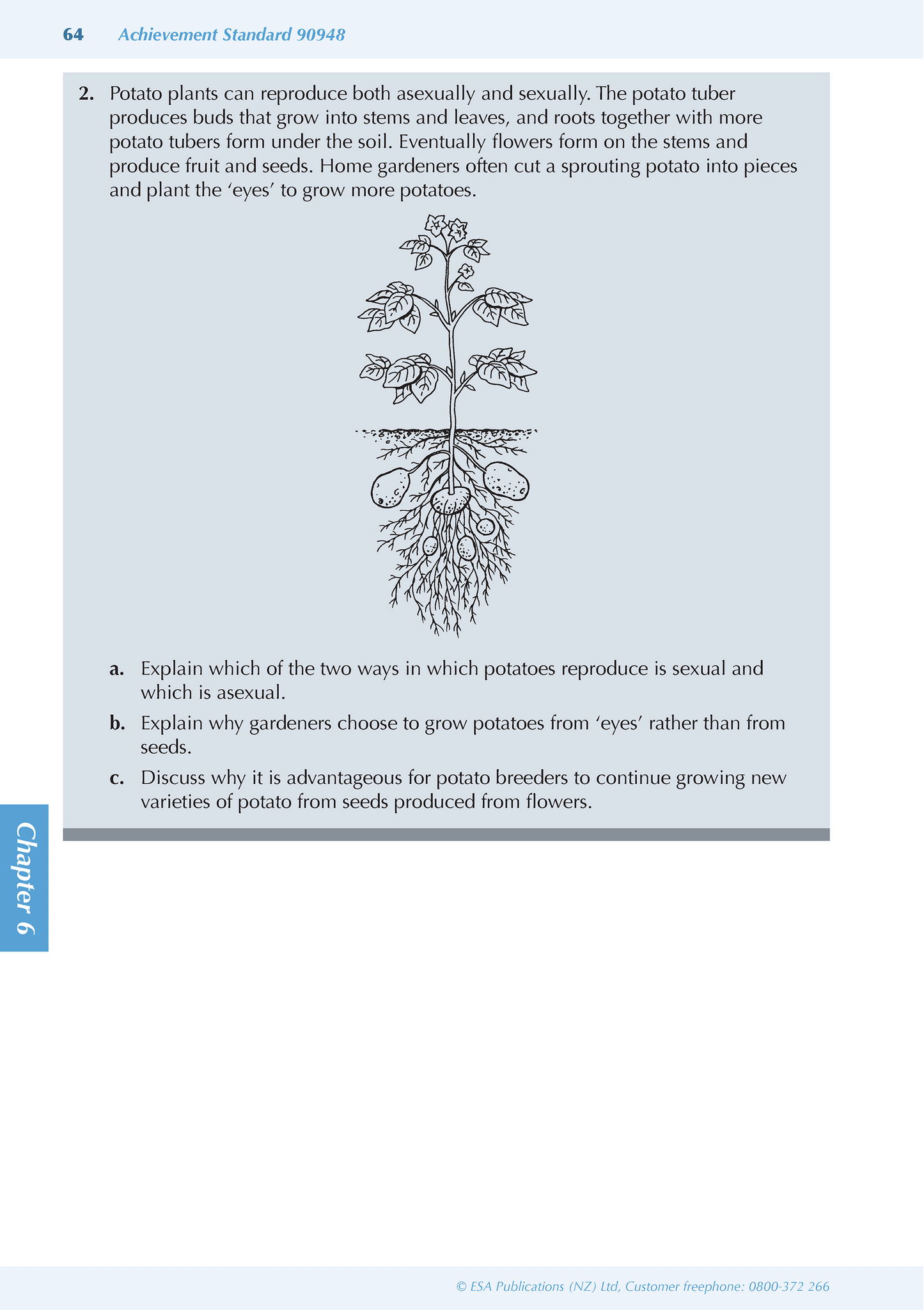 Level 1 Biology ESA Study Guide