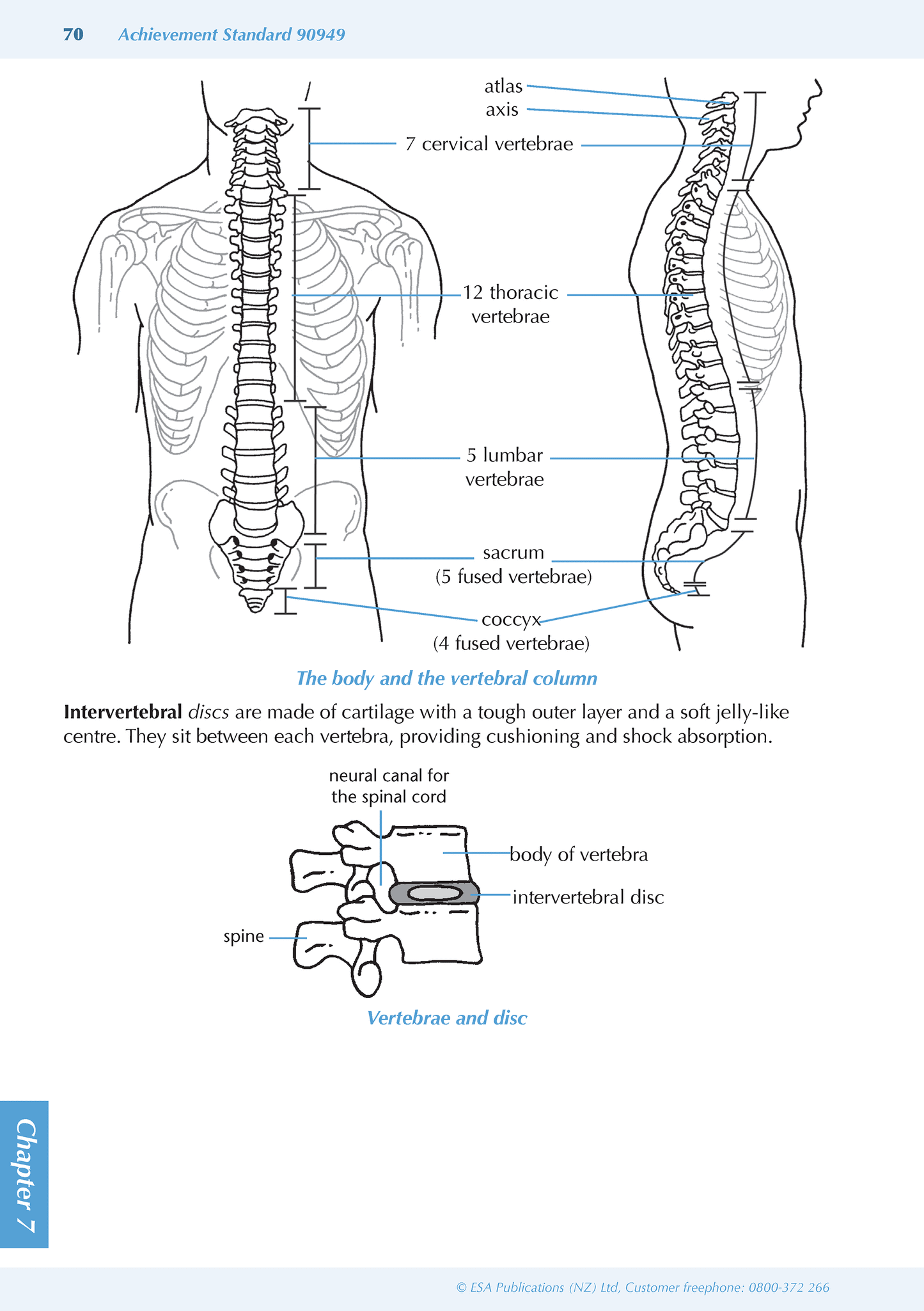 Level 1 Biology ESA Study Guide