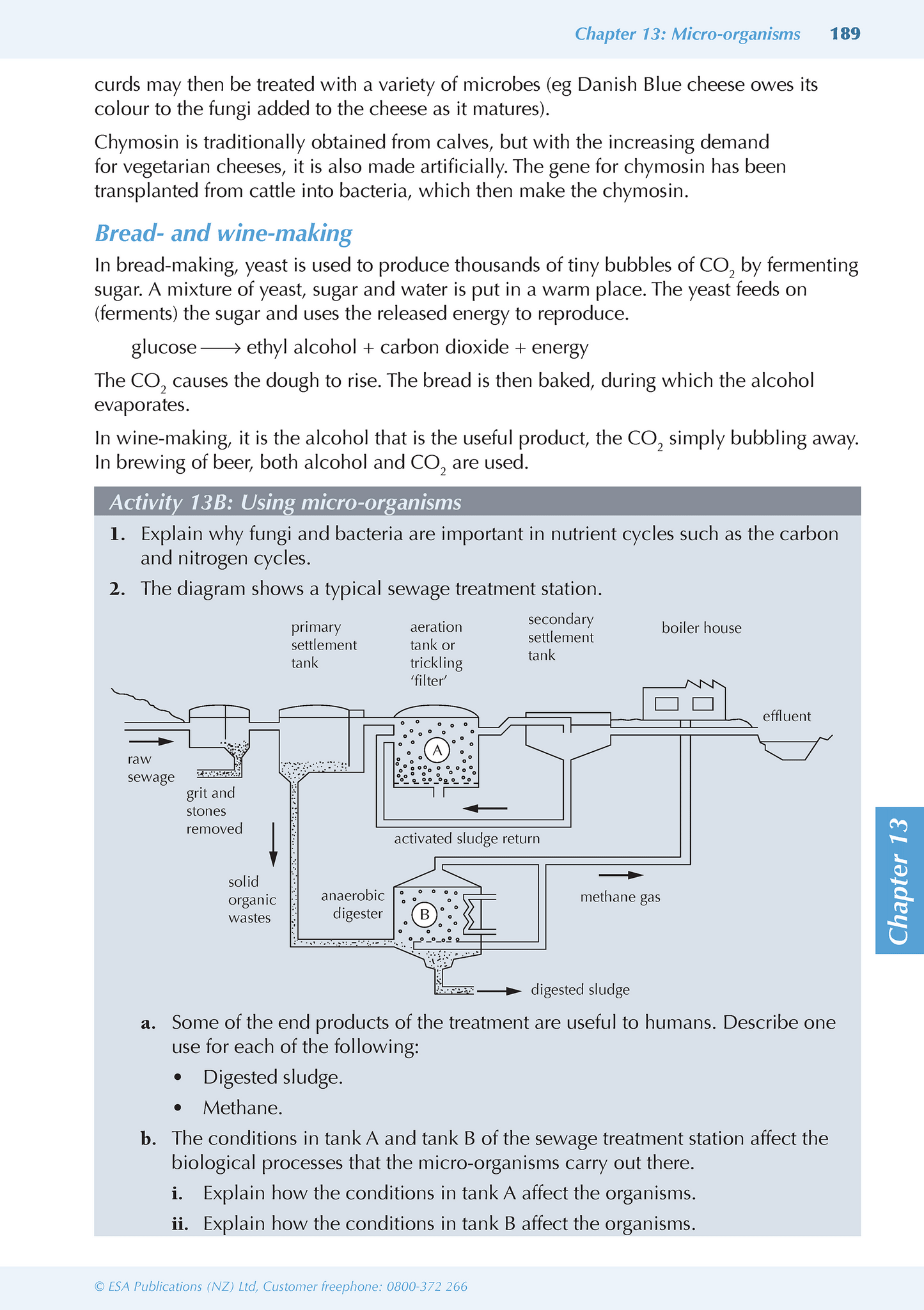 Level 1 Biology ESA Study Guide