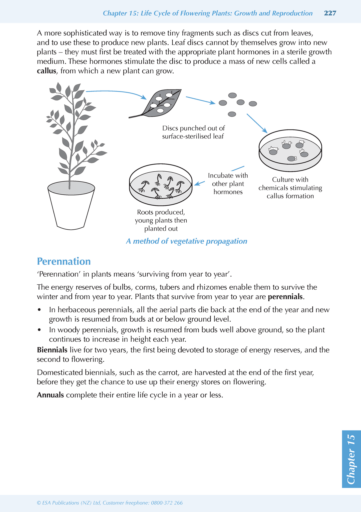 Level 1 Biology ESA Study Guide