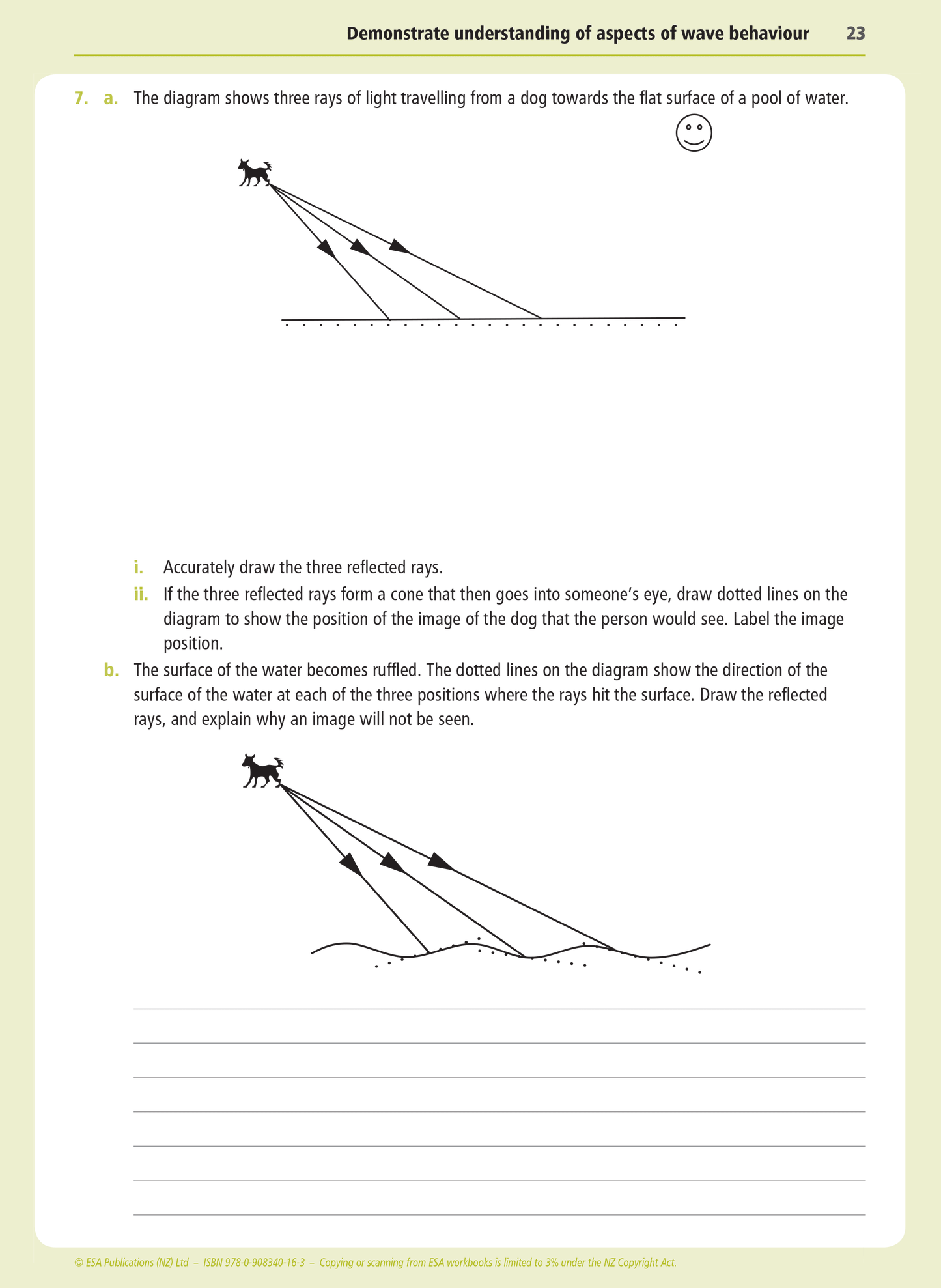Level 1 Waves 1.4 Learning Workbook