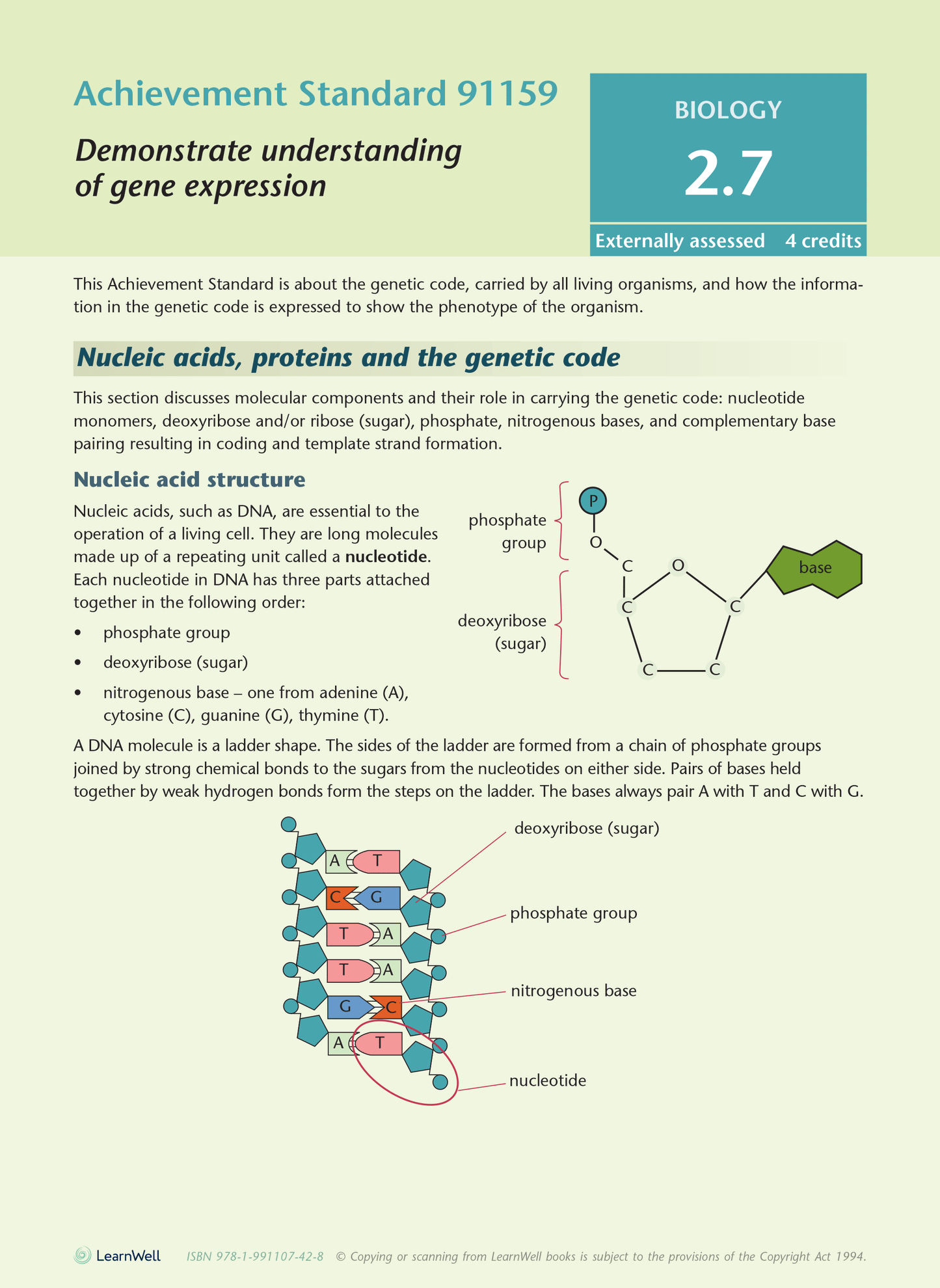 Level 2 Biology AME Workbook - SPECIAL (damaged stock at $10 each)