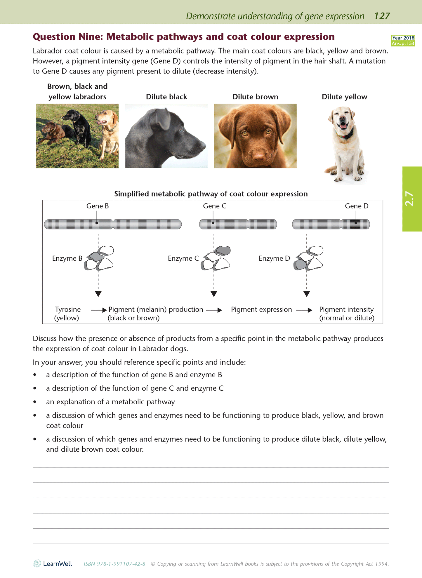 Level 2 Biology AME Workbook - SPECIAL (damaged stock at $10 each)