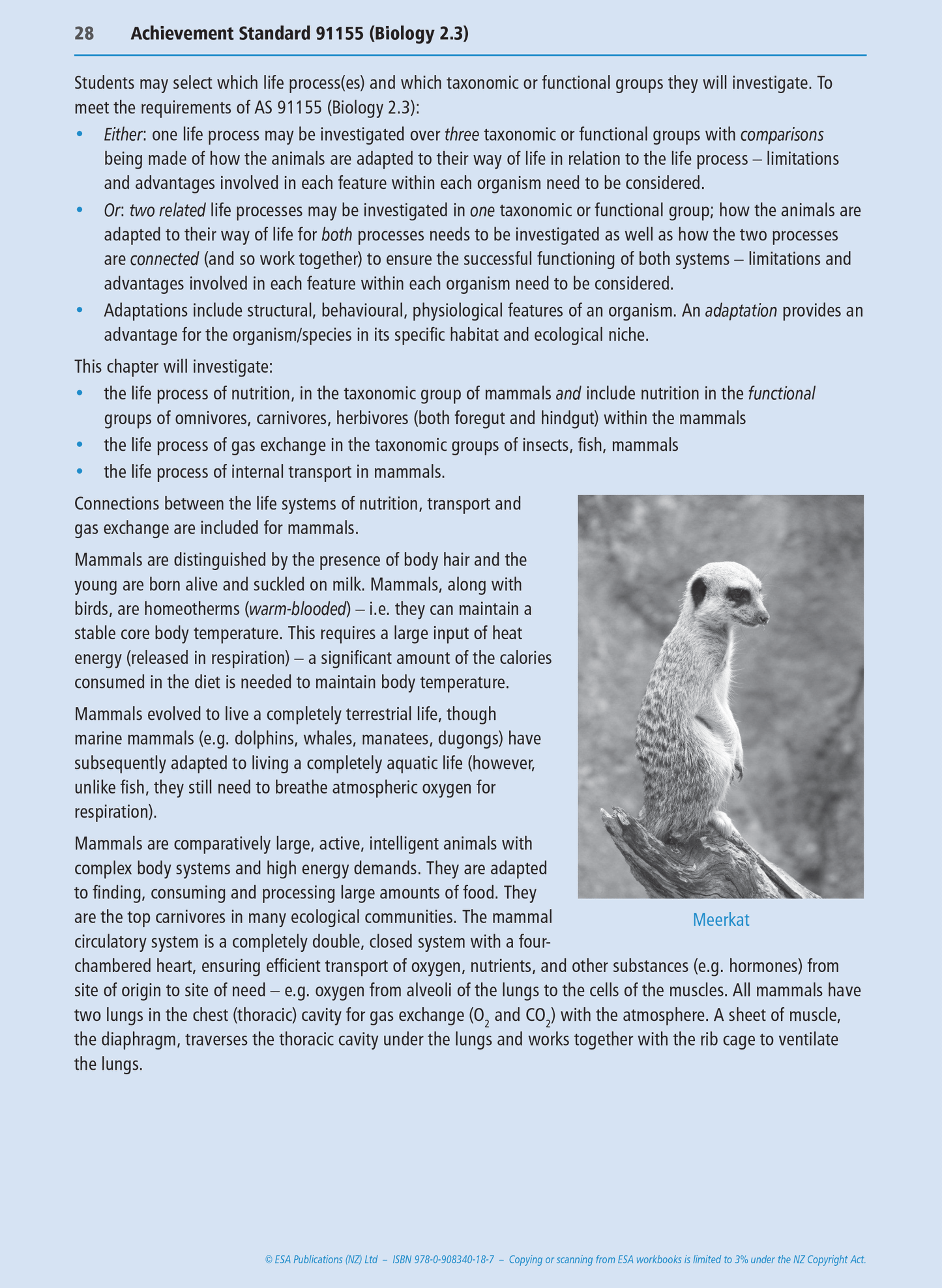 Level 2 Biology Internals Learning Workbook