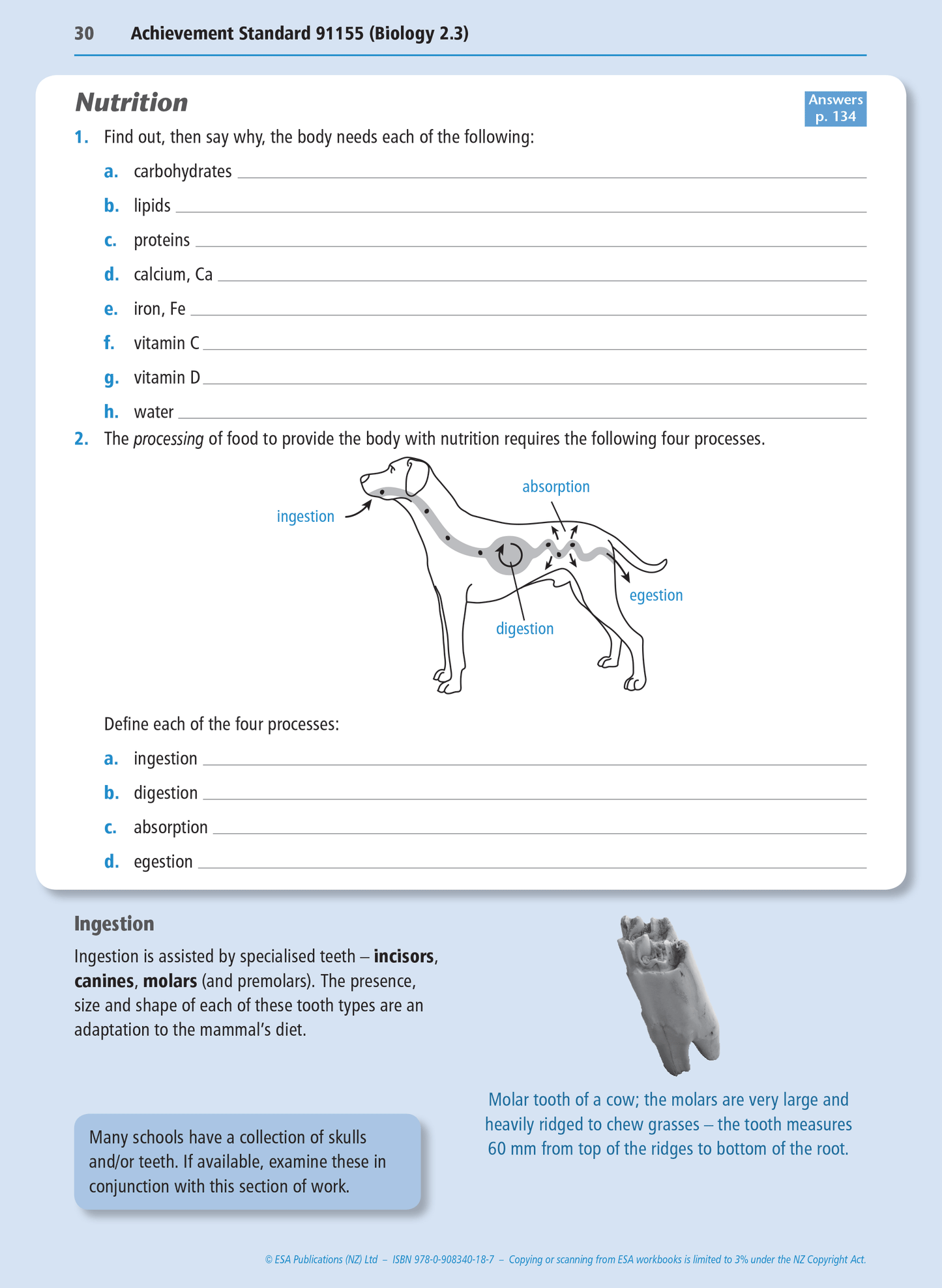 Level 2 Biology Internals Learning Workbook