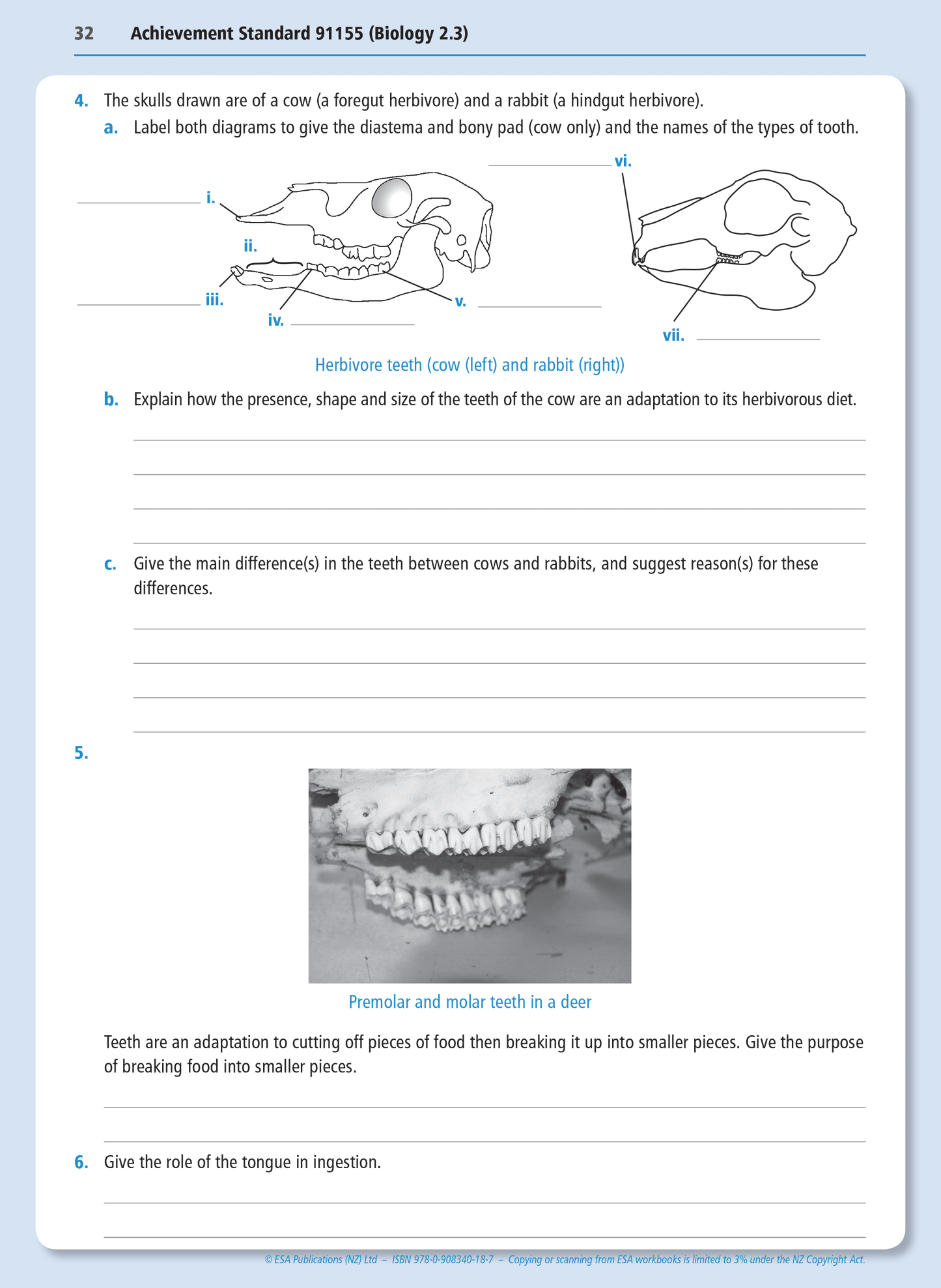 Level 2 Biology Internals Learning Workbook