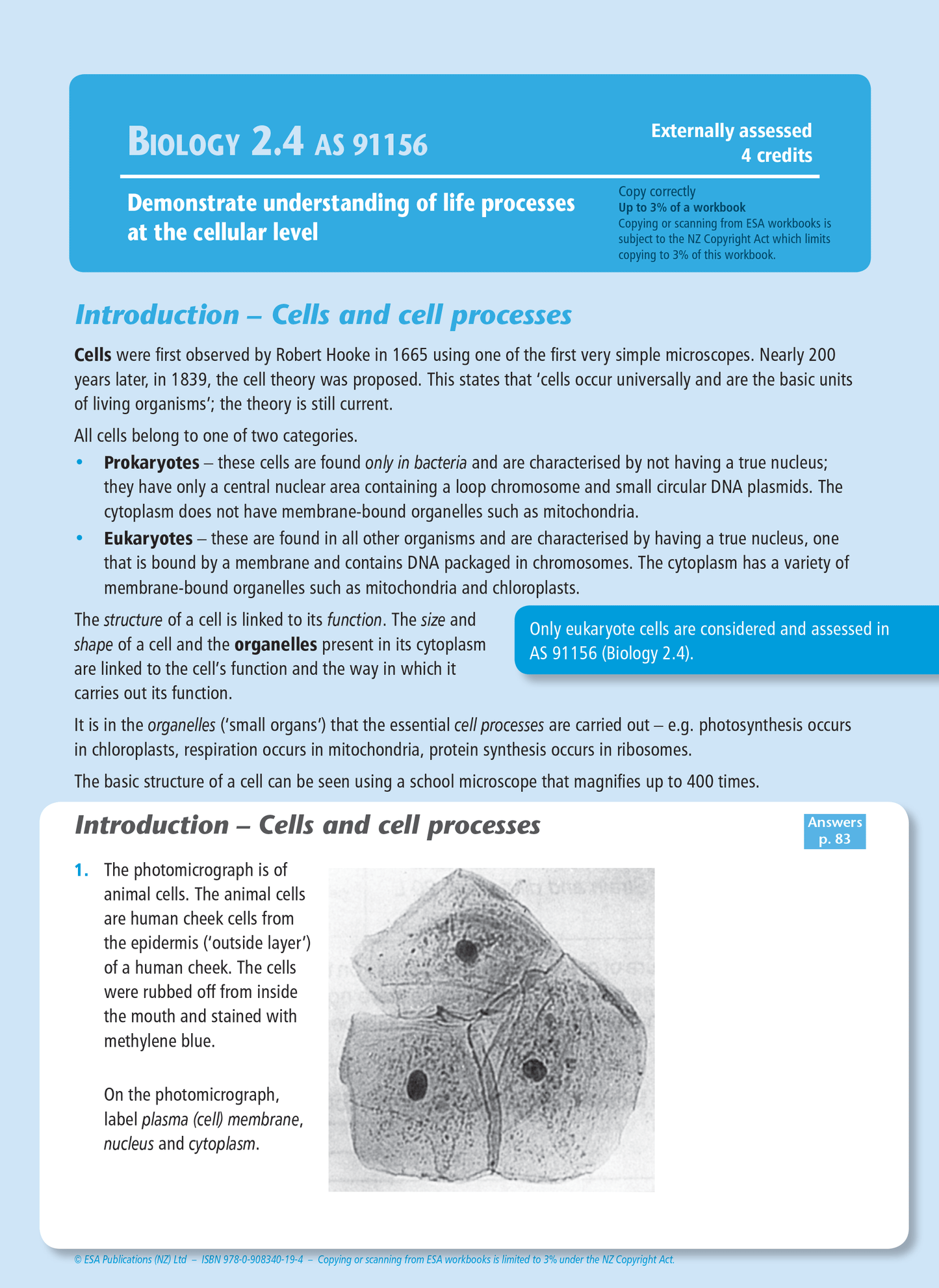 Level 2 Life Processes at the Cellular Level 2.4 Learning Workbook