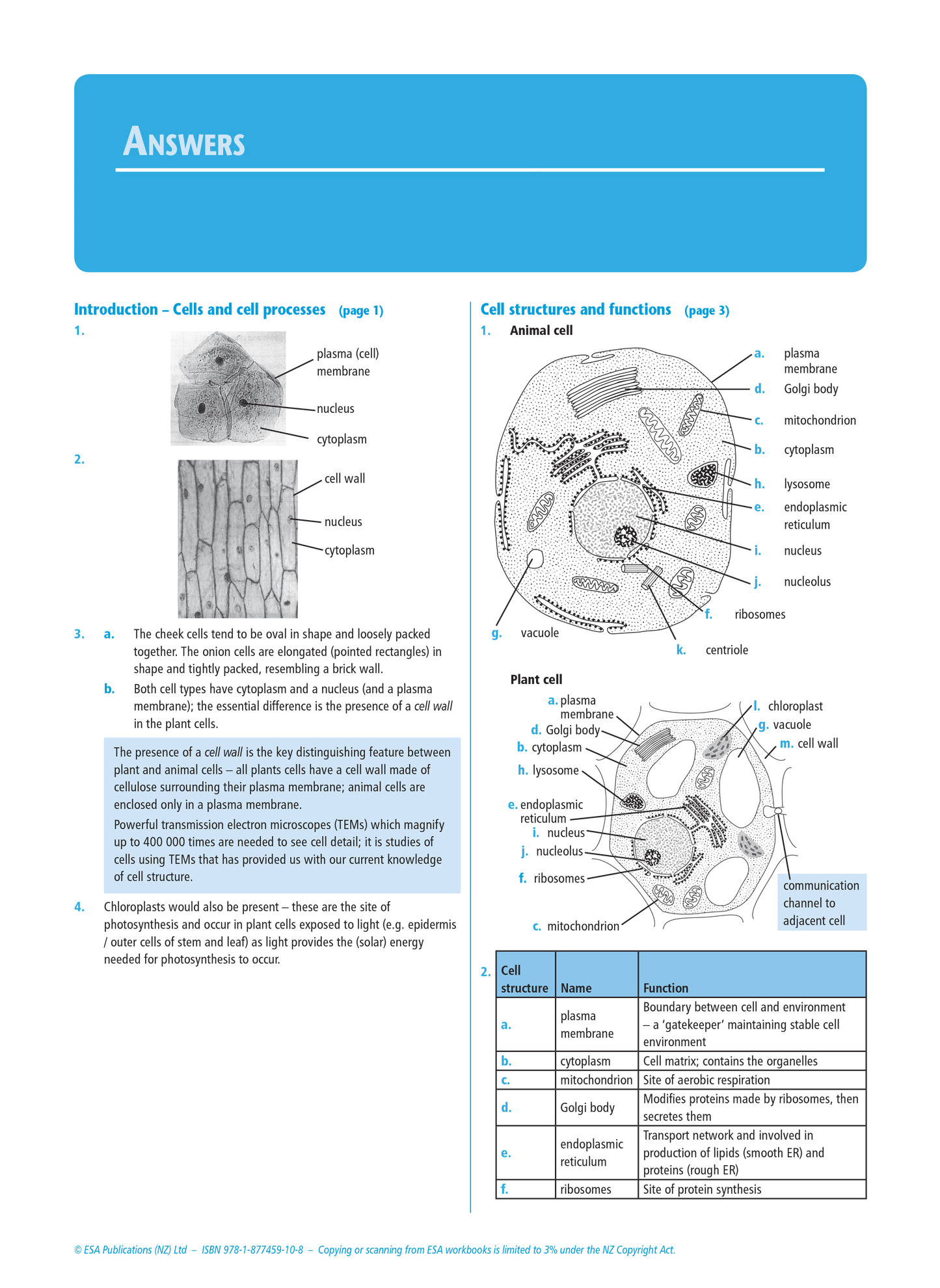 Level 2 Life Processes at the Cellular Level 2.4 Learning Workbook