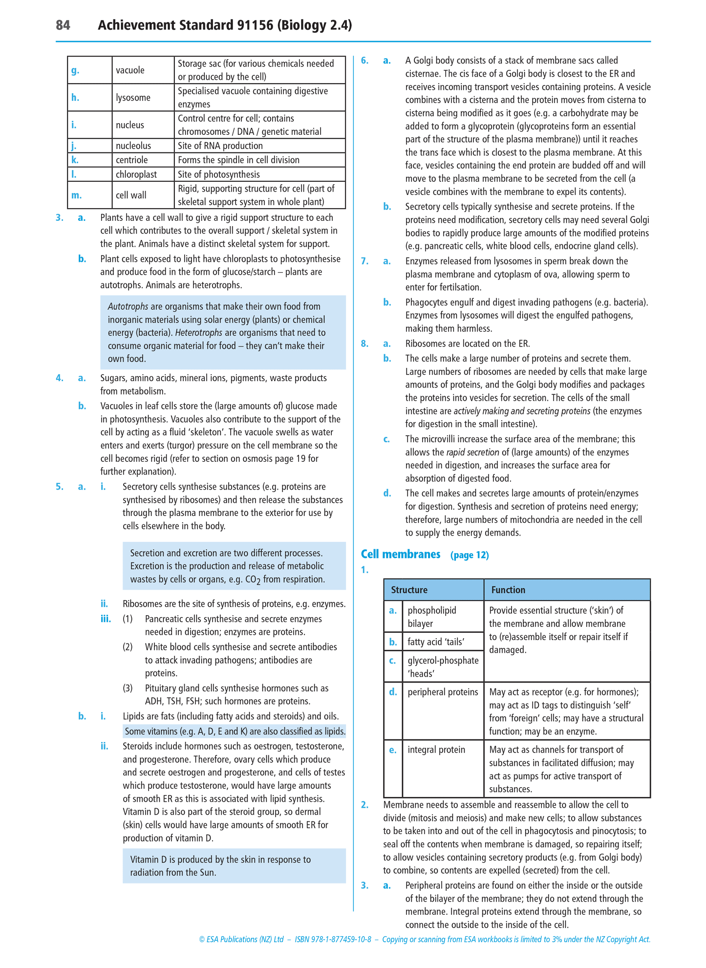 Level 2 Life Processes at the Cellular Level 2.4 Learning Workbook