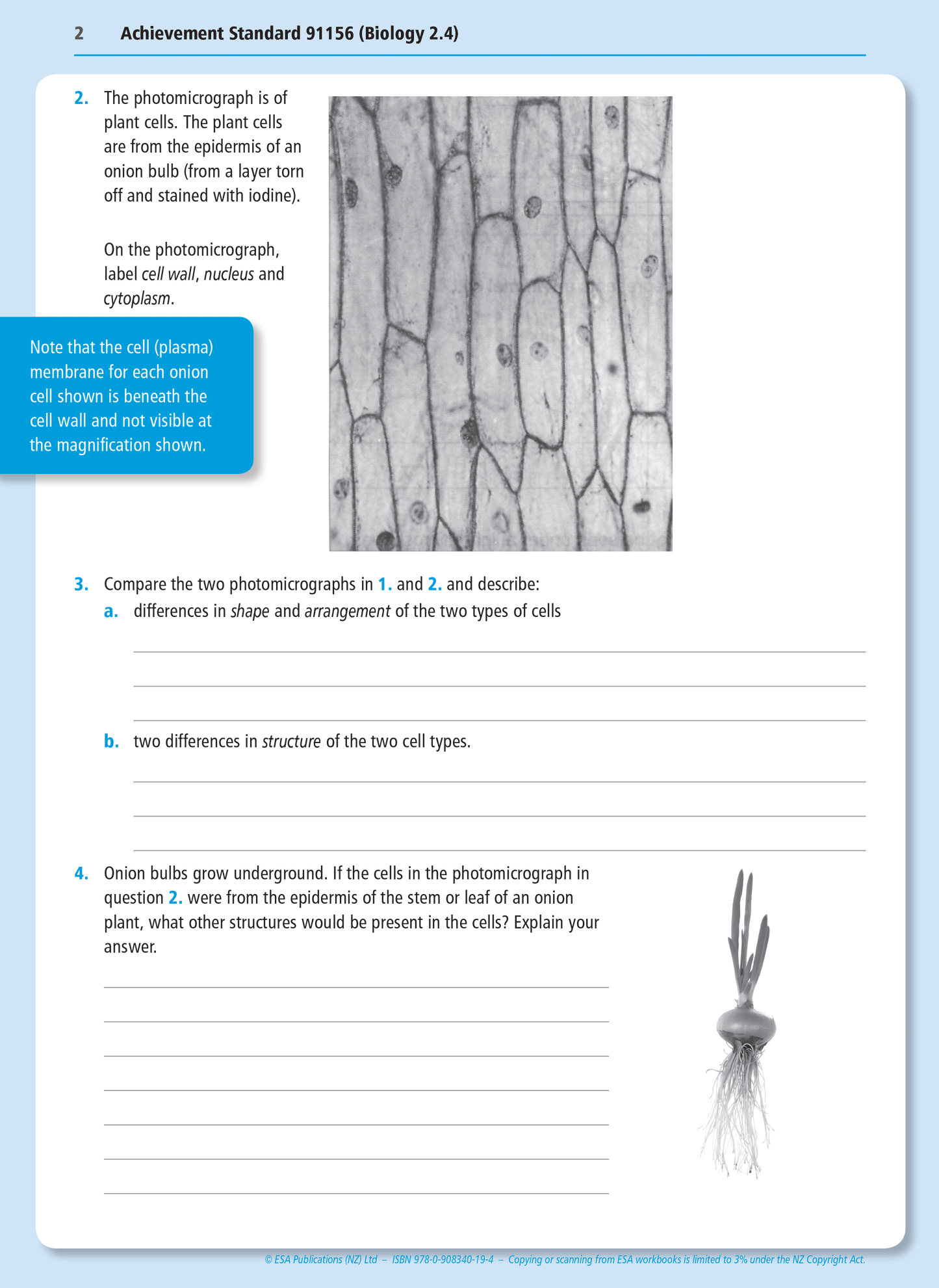 Level 2 Life Processes at the Cellular Level 2.4 Learning Workbook