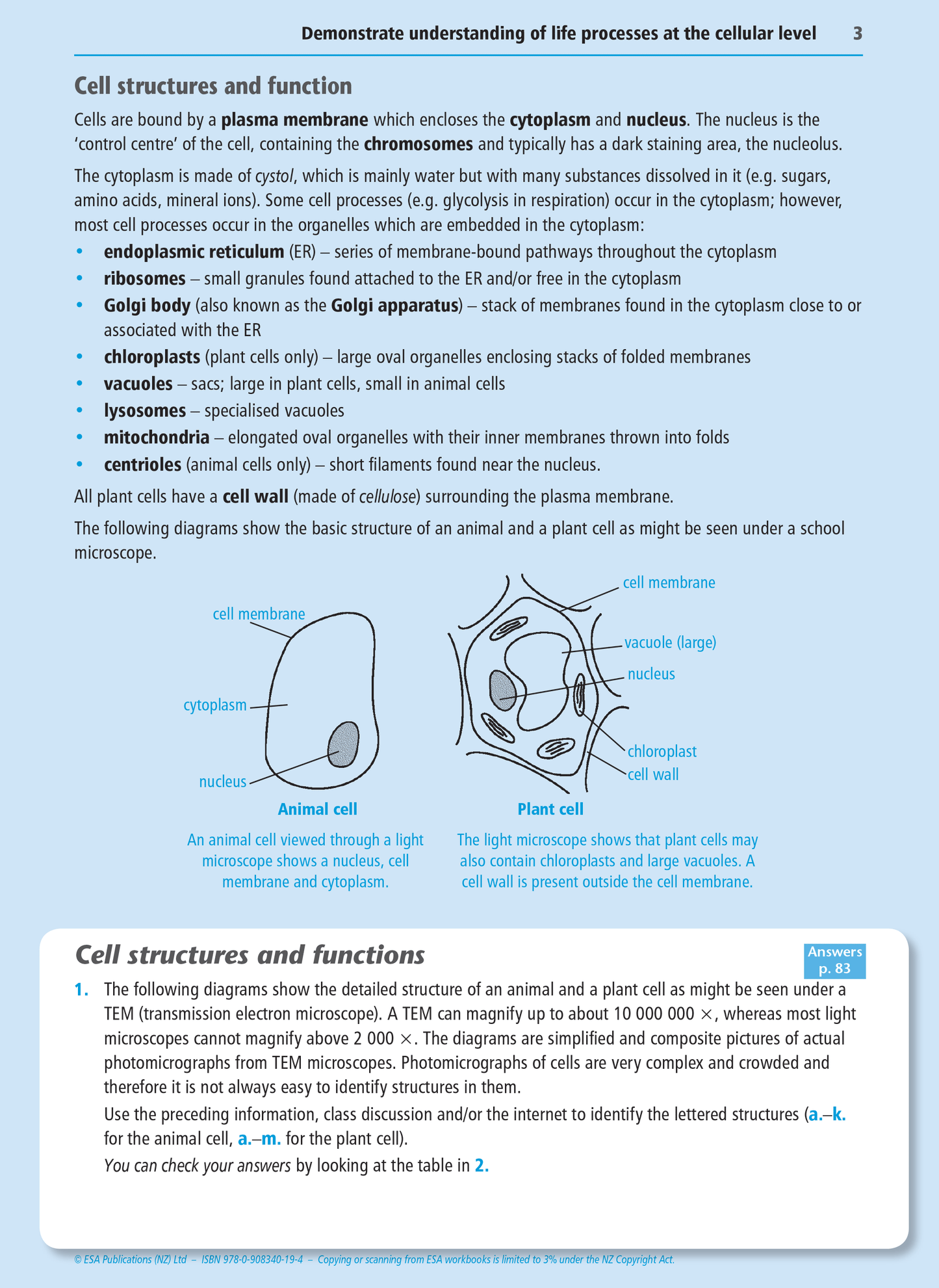 Level 2 Life Processes at the Cellular Level 2.4 Learning Workbook