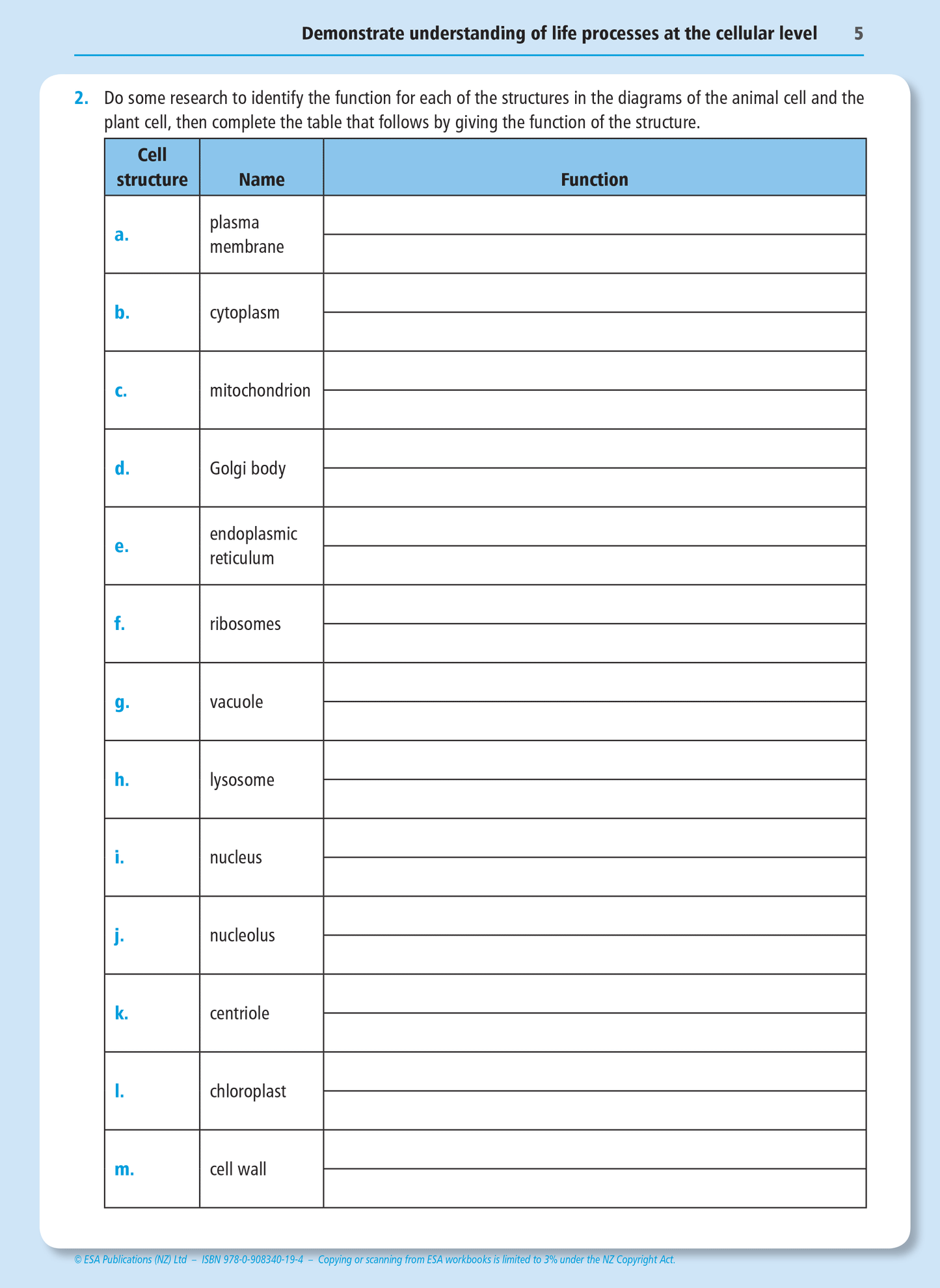 Level 2 Life Processes at the Cellular Level 2.4 Learning Workbook