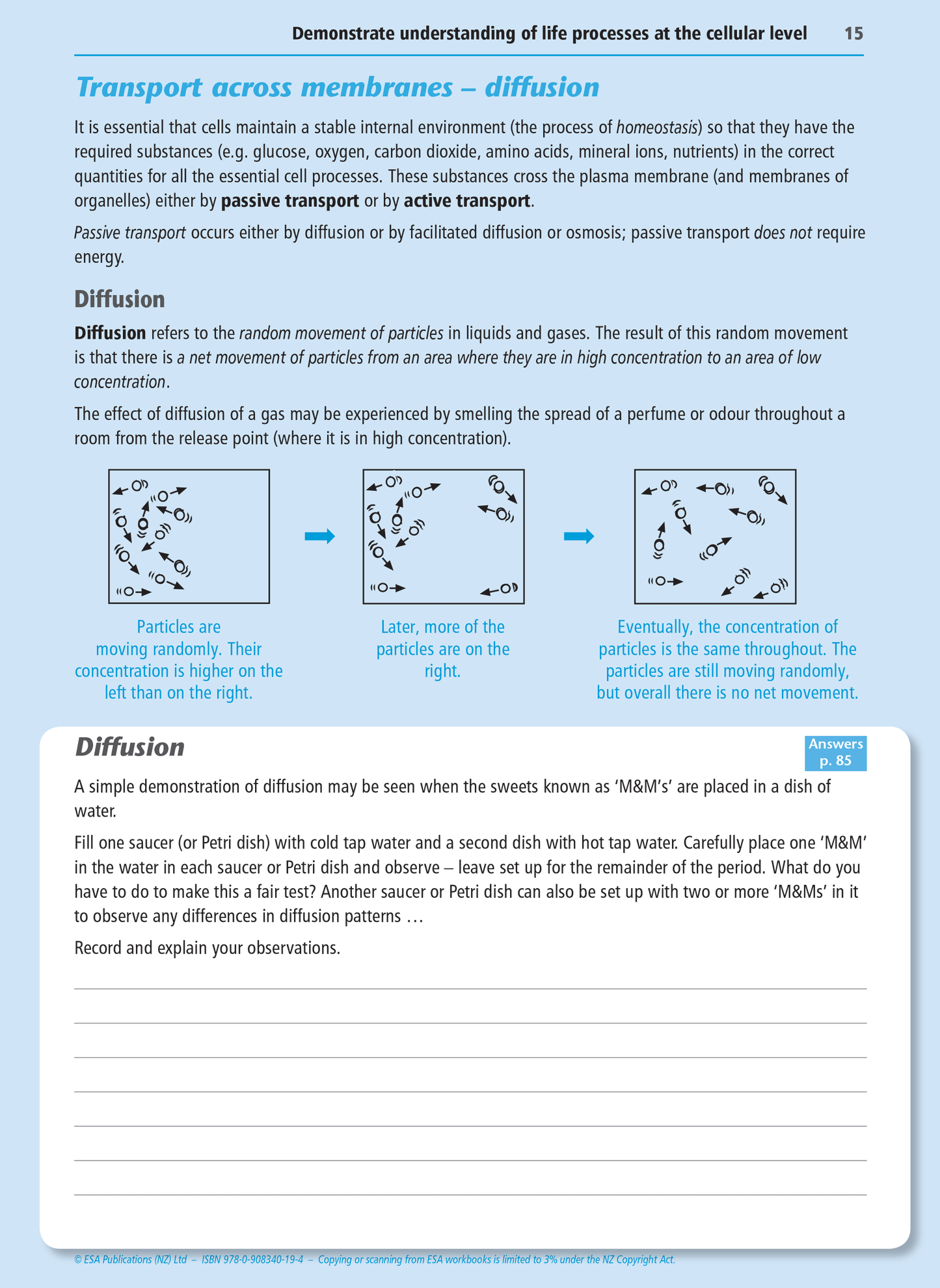 Level 2 Life Processes at the Cellular Level 2.4 Learning Workbook
