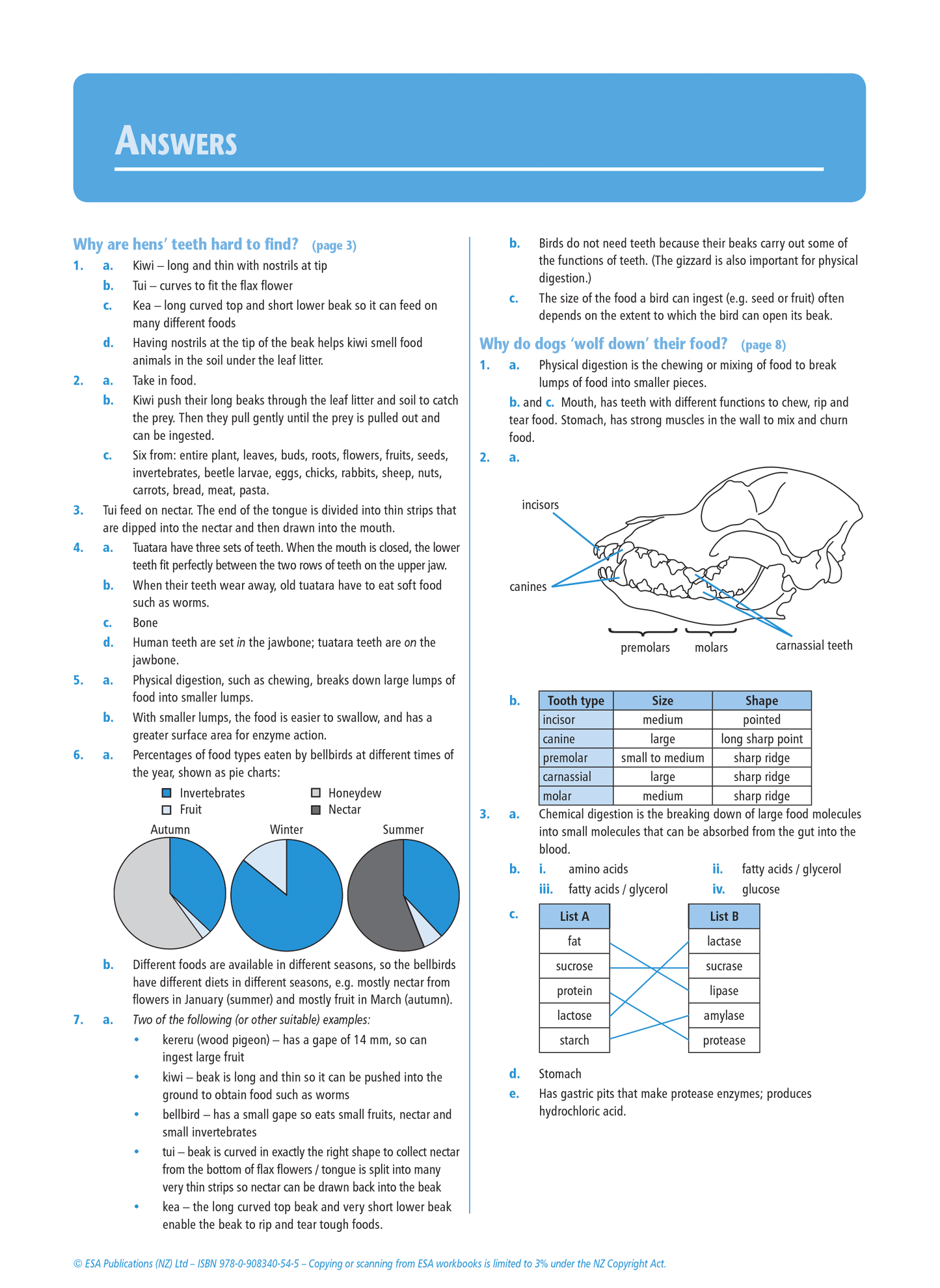 Level 1 Life Processes 1.10 Learning Workbook