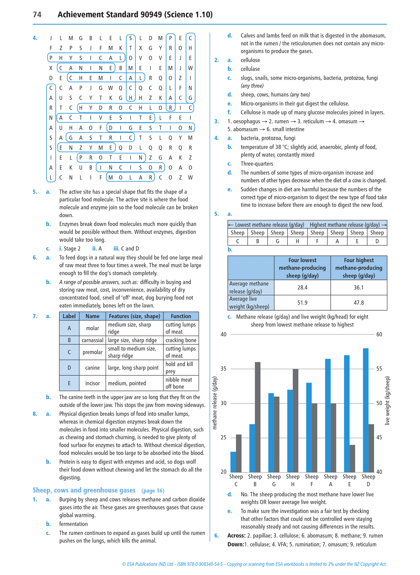 Level 1 Life Processes 1.10 Learning Workbook