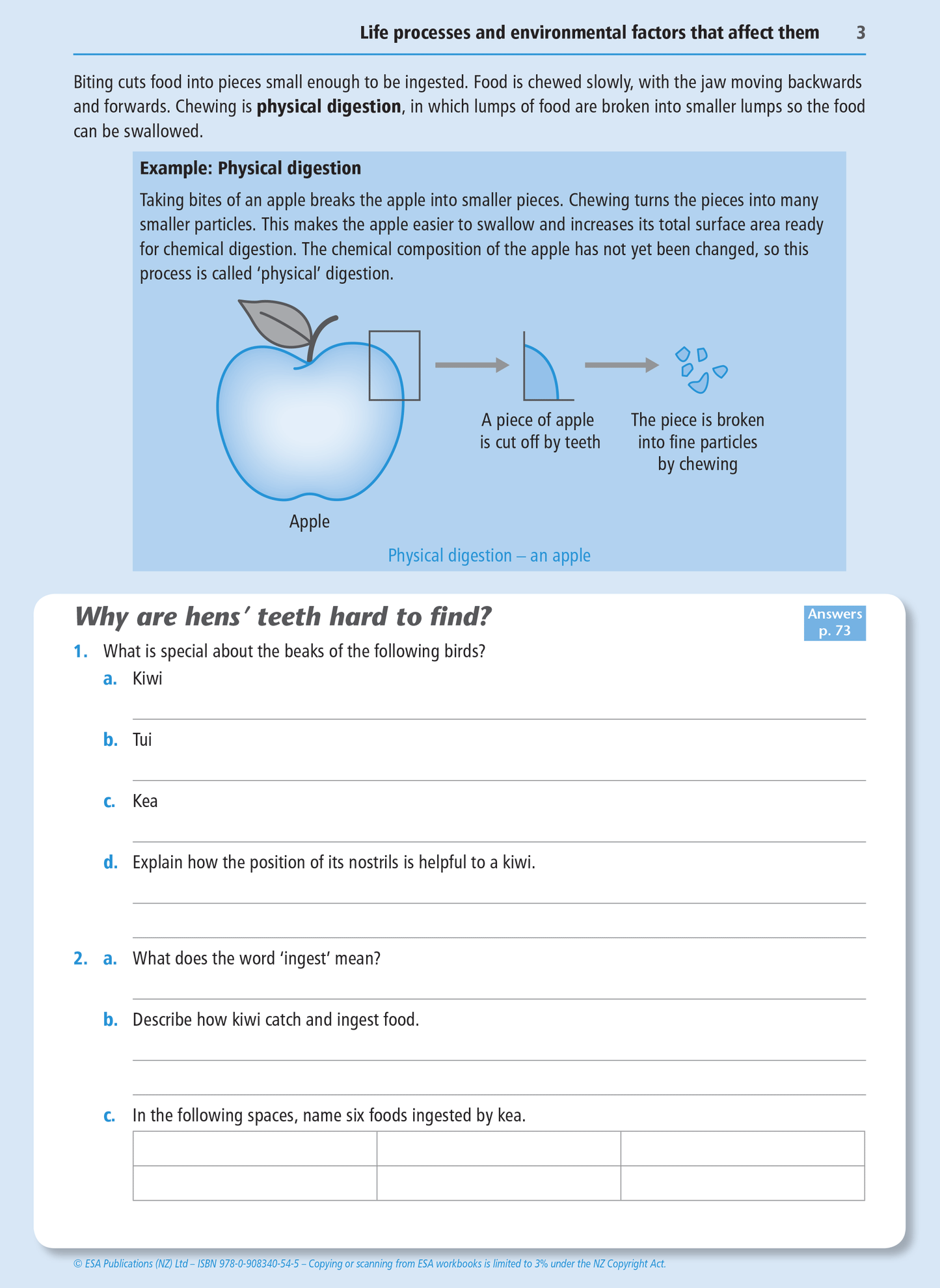 Level 1 Life Processes 1.10 Learning Workbook