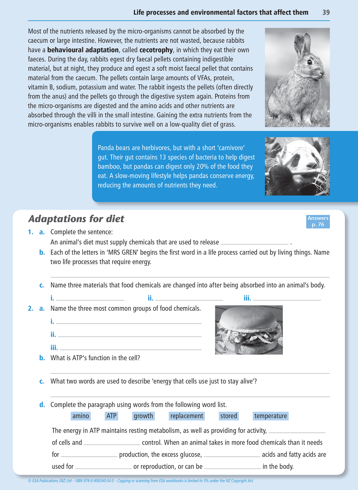 Level 1 Life Processes 1.10 Learning Workbook