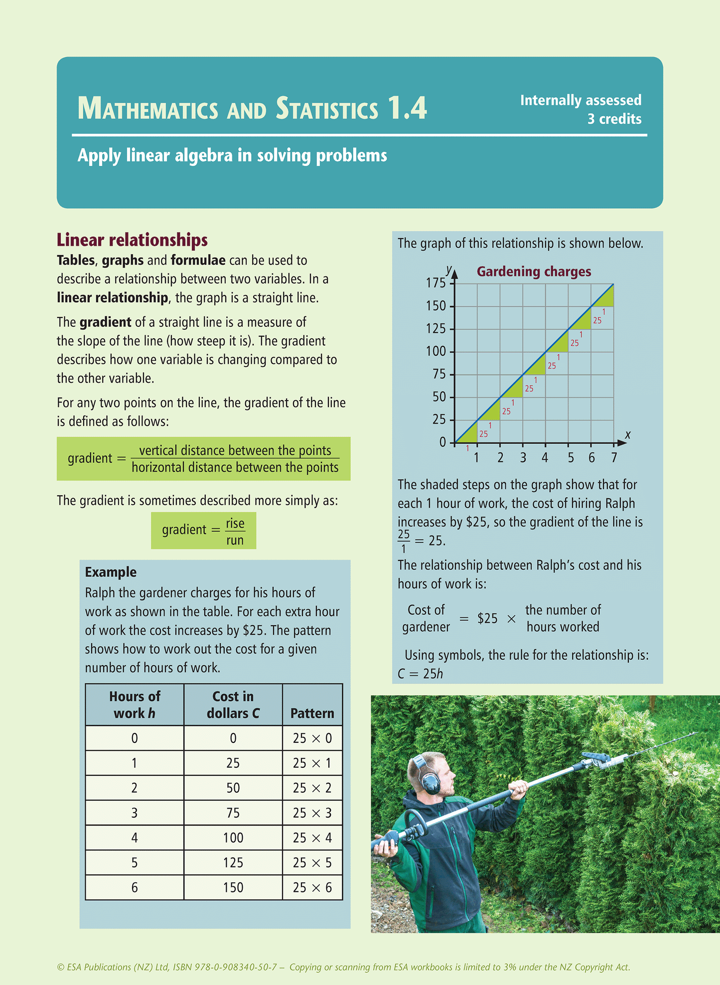 Level 1 Mathematics and Statistics Learning Workbook