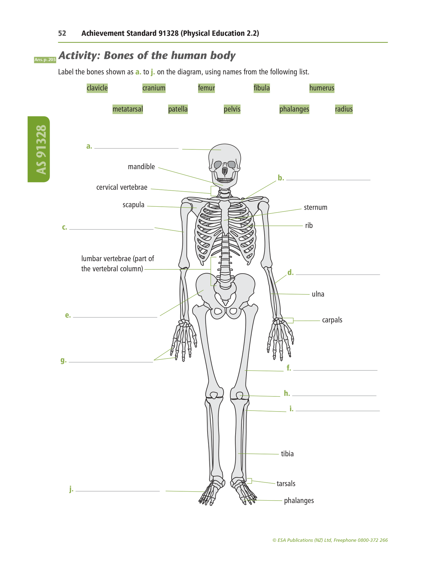 Level 2 Physical Education Learning Workbook
