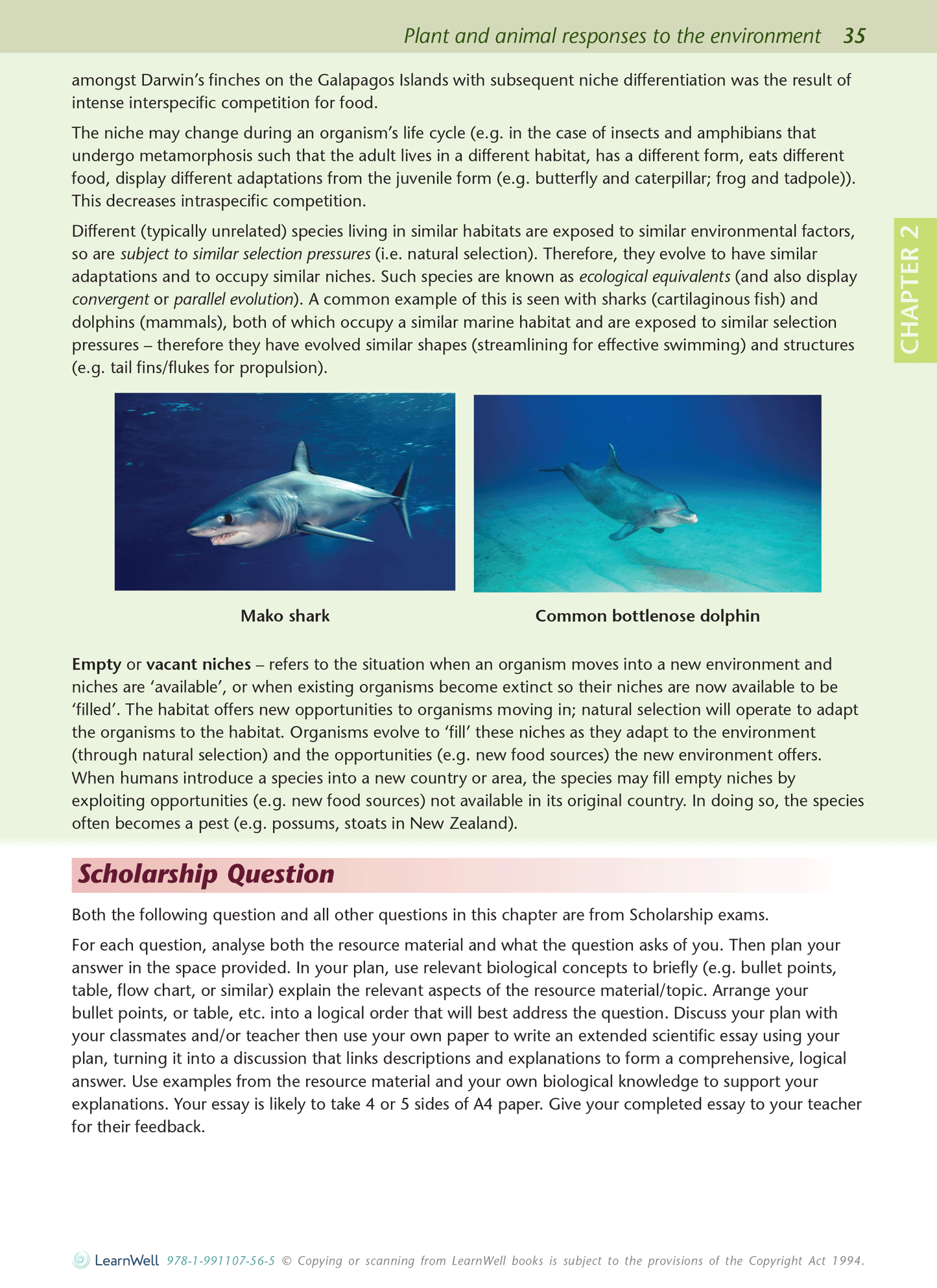 Scholarship Biology AME Workbook - SPECIAL (damaged stock at $10 each)