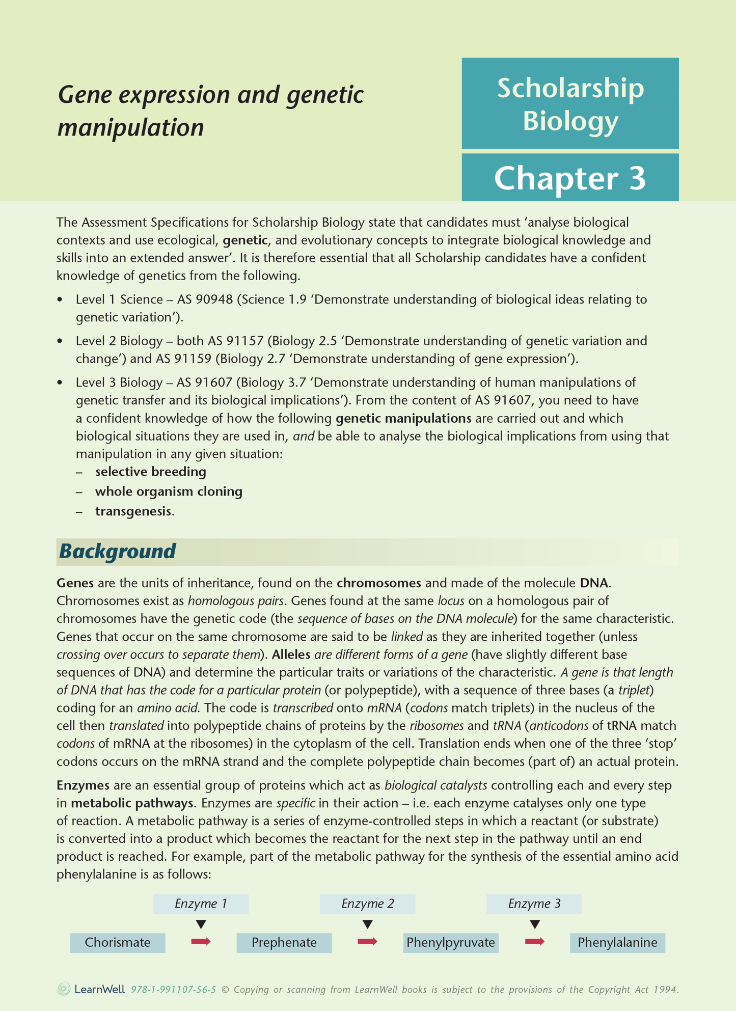 Scholarship Biology AME Workbook - SPECIAL (damaged stock at $10 each)