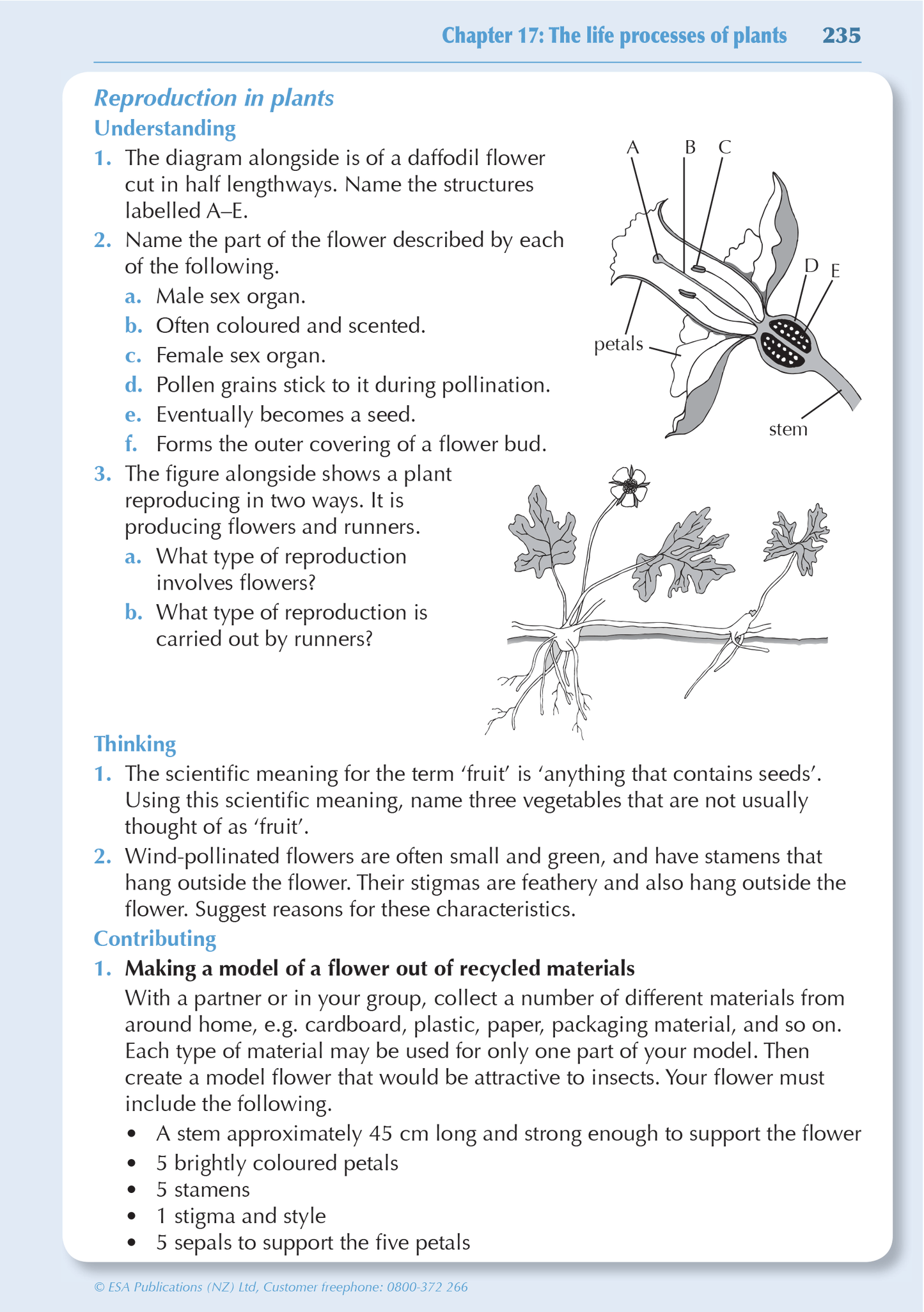 Year 9 Science ESA Study Guide