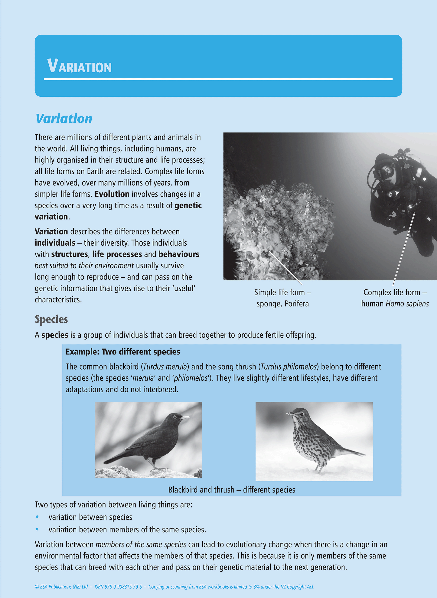 Level 1 Genetic Variation 1.9 Learning Workbook