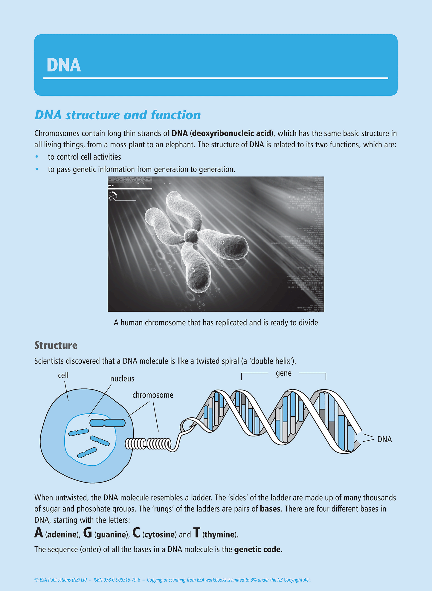 Level 1 Genetic Variation 1.9 Learning Workbook