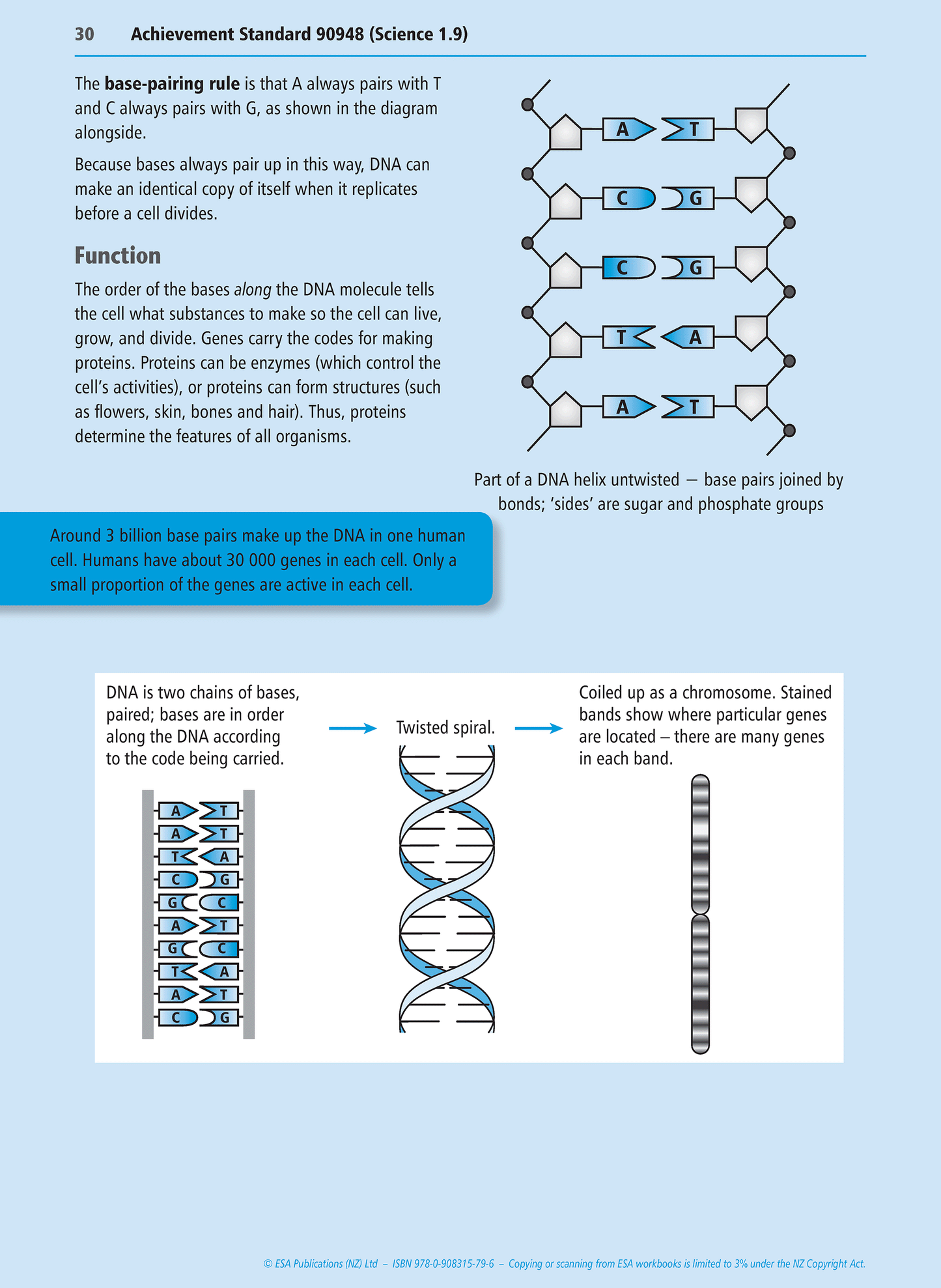 Level 1 Genetic Variation 1.9 Learning Workbook