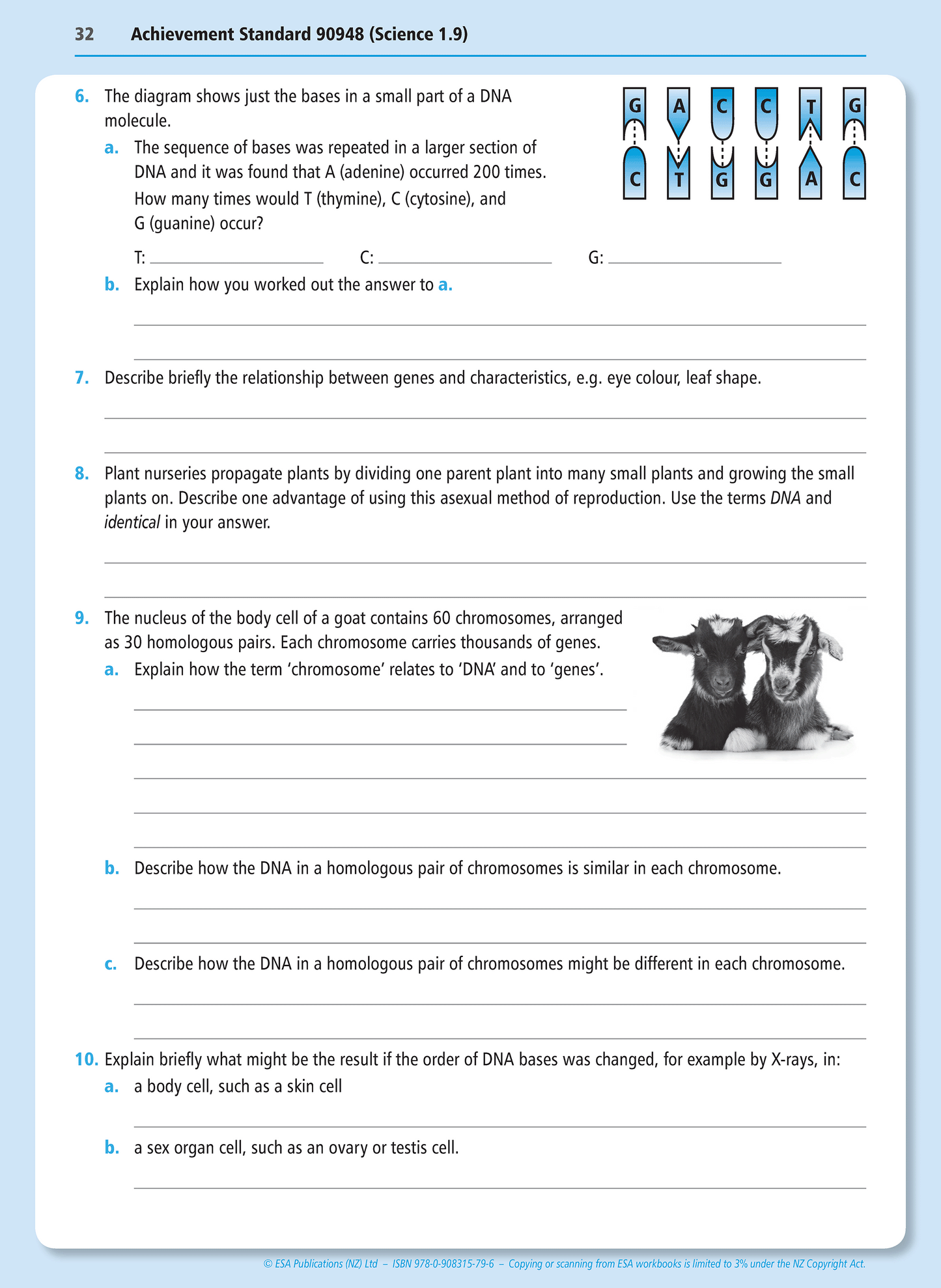 Level 1 Genetic Variation 1.9 Learning Workbook