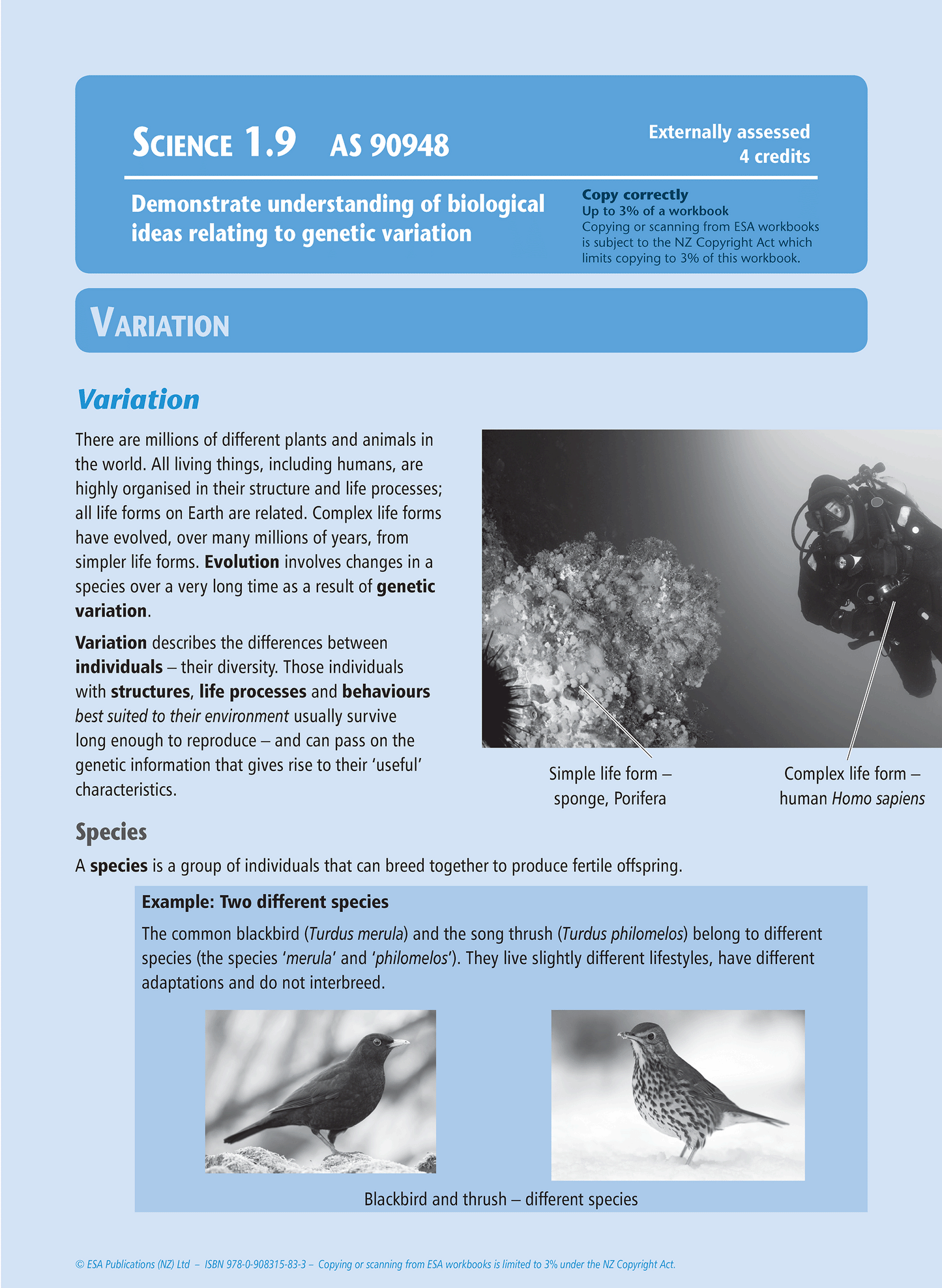 Level 1 Science Externals Learning Workbook - SPECIAL (damaged stock at $10 each)