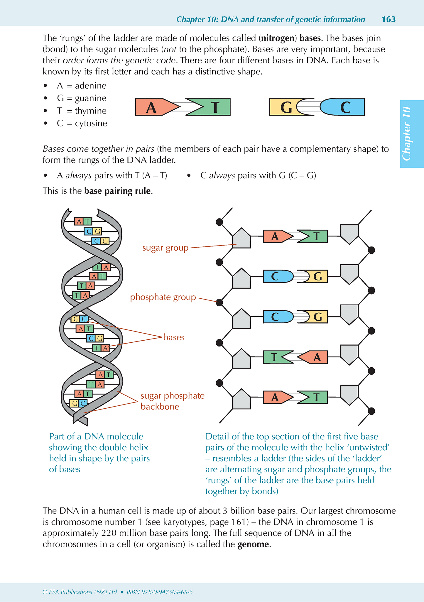 Level 1 Science ESA Study Guide